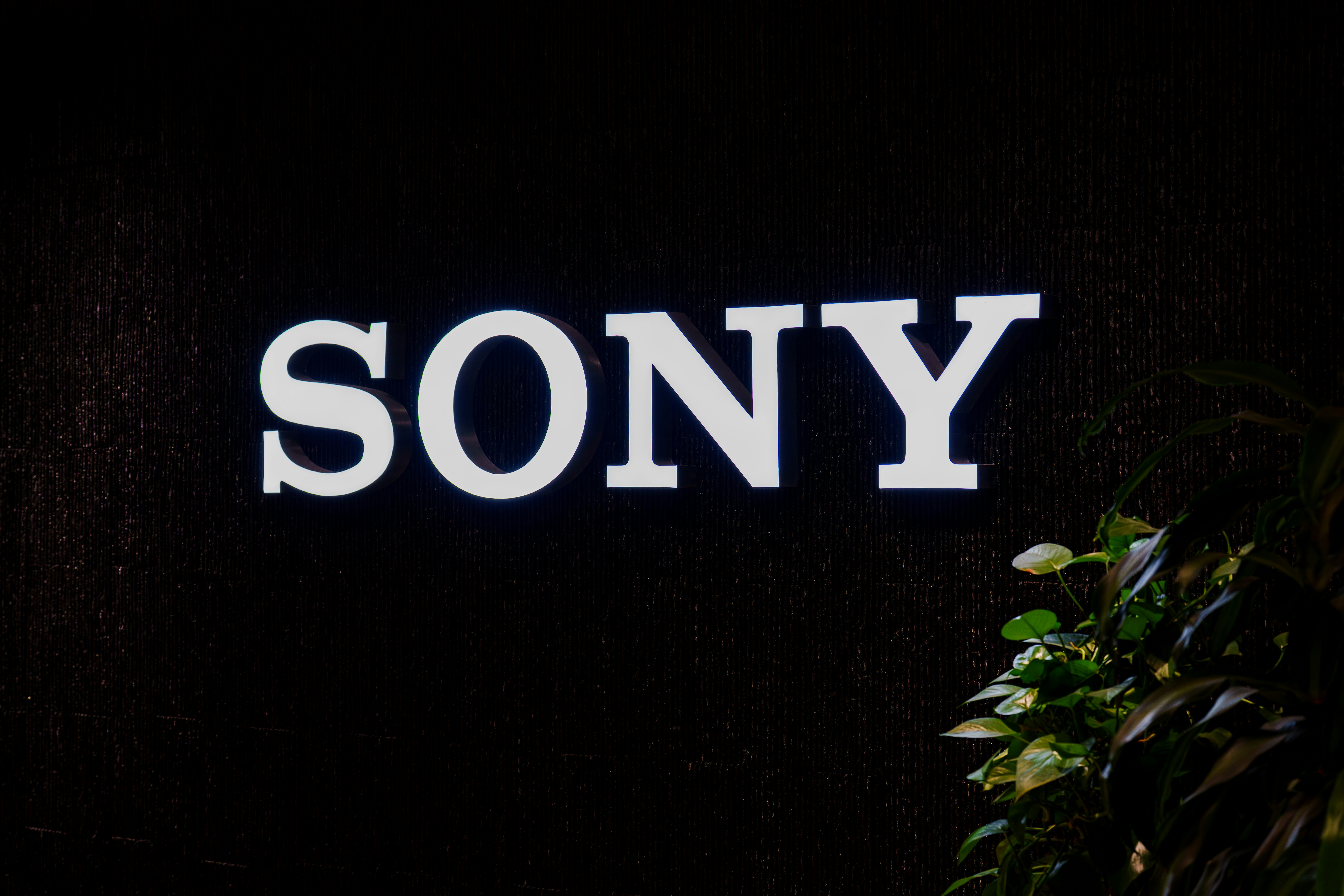 The sony logo is illuminated on a dark background.