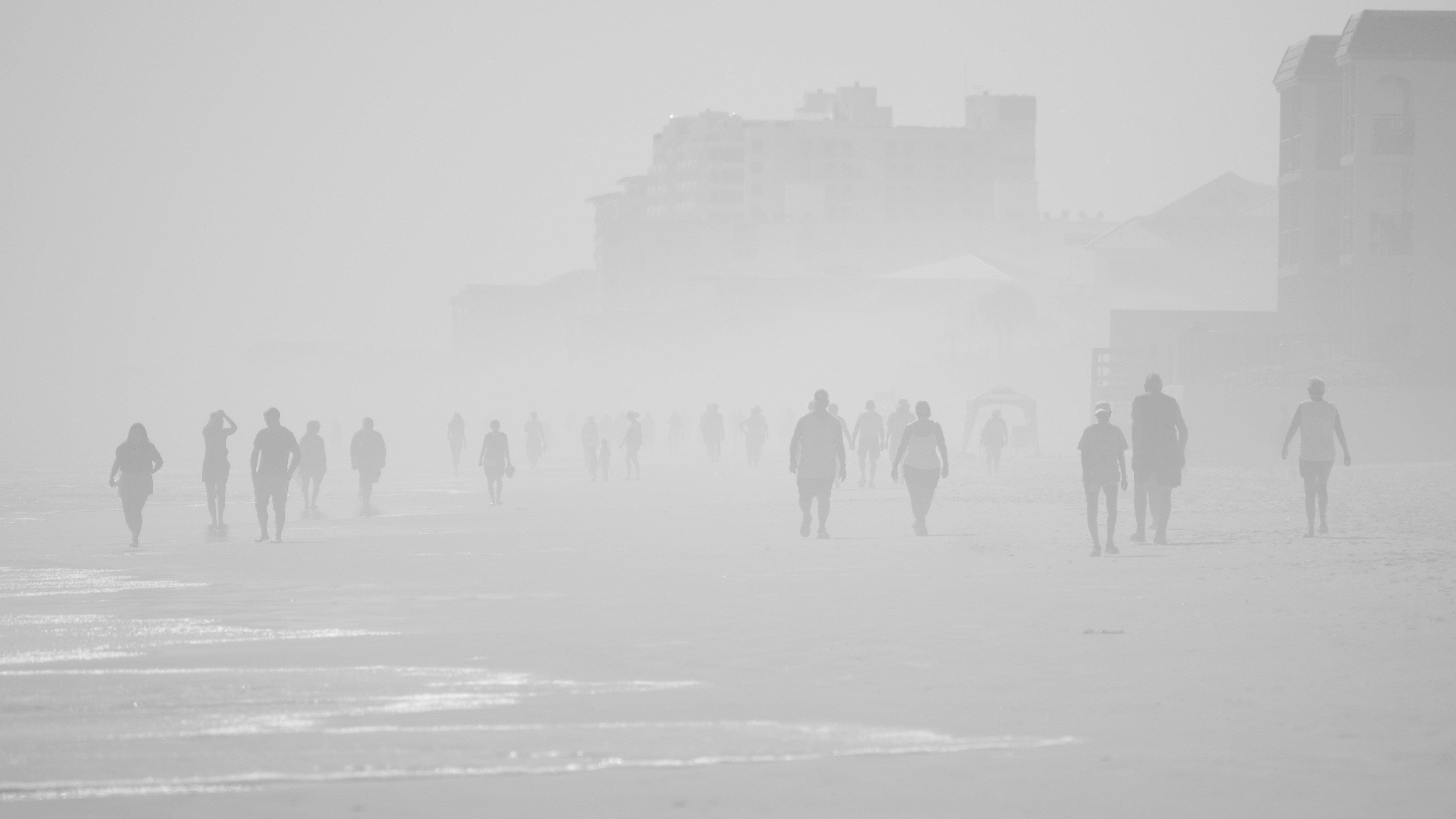 Silhouettes of people walking on a foggy beach.