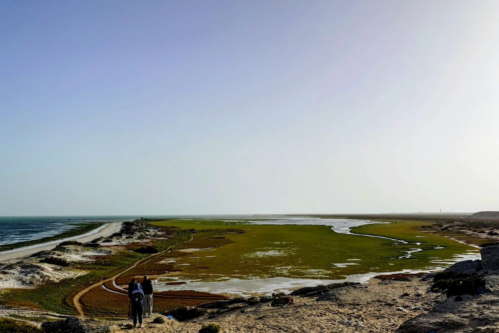 The coast path above the creek, September