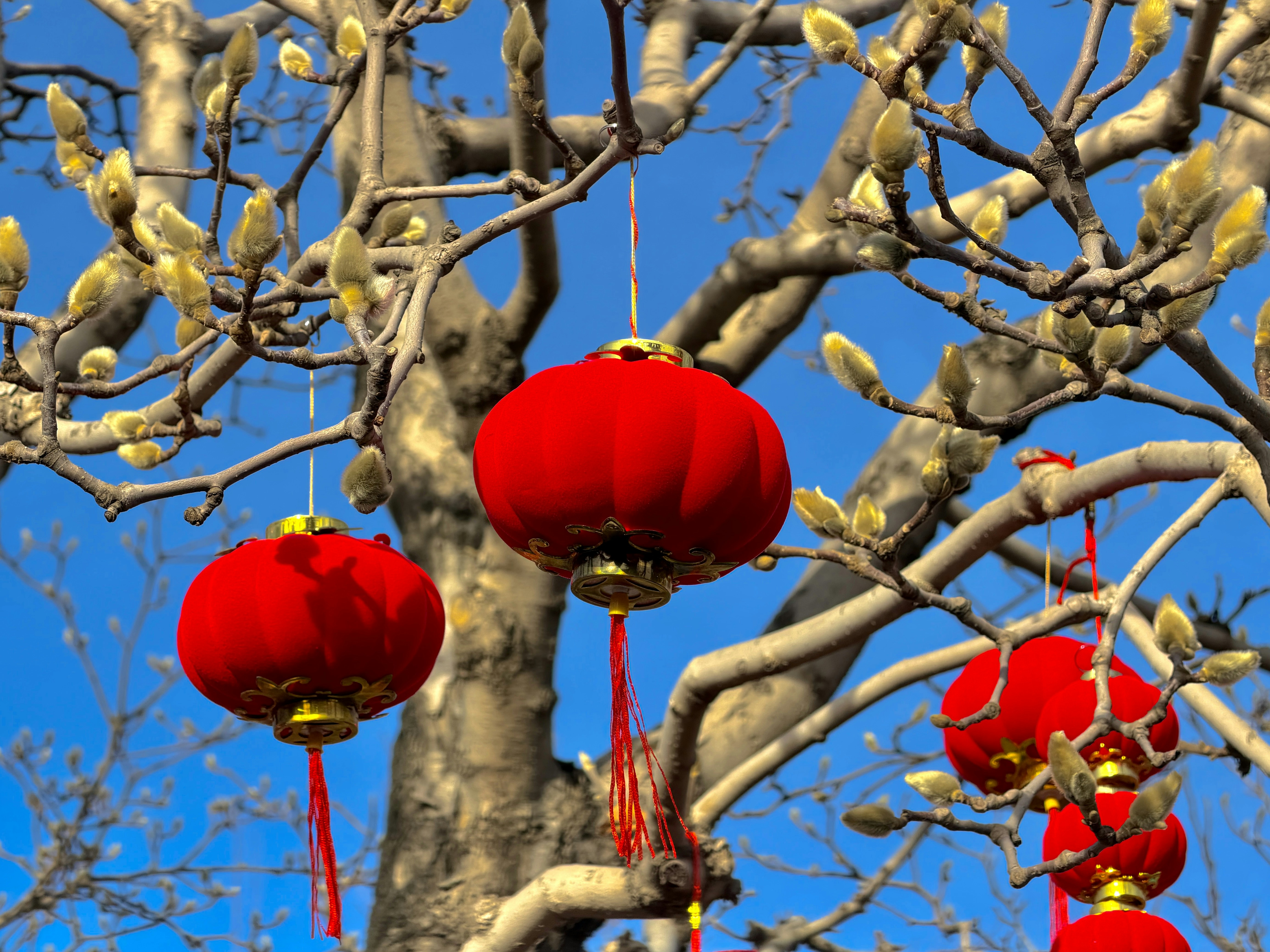 Photo by space_launch_system