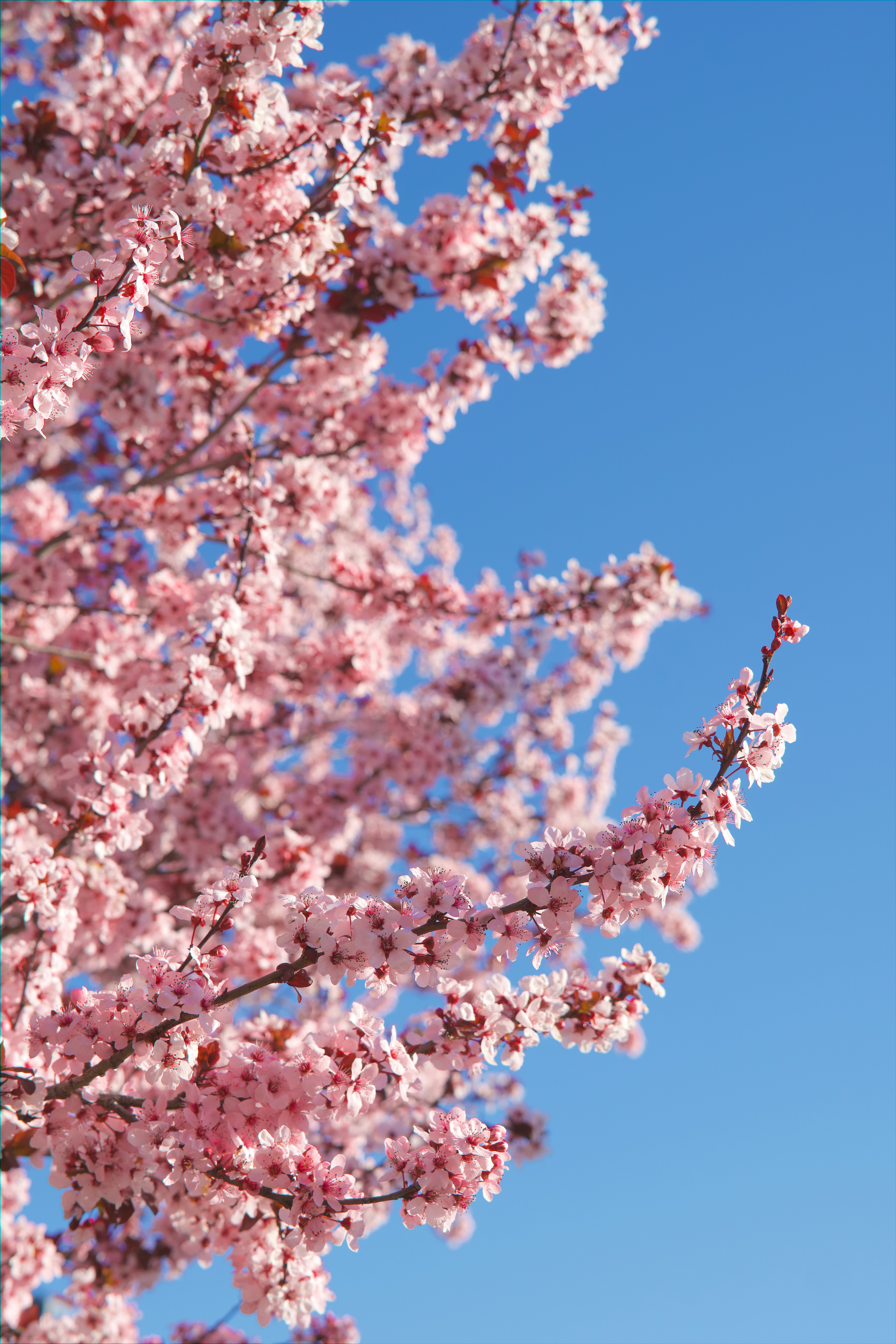 Photo by spencer_demera