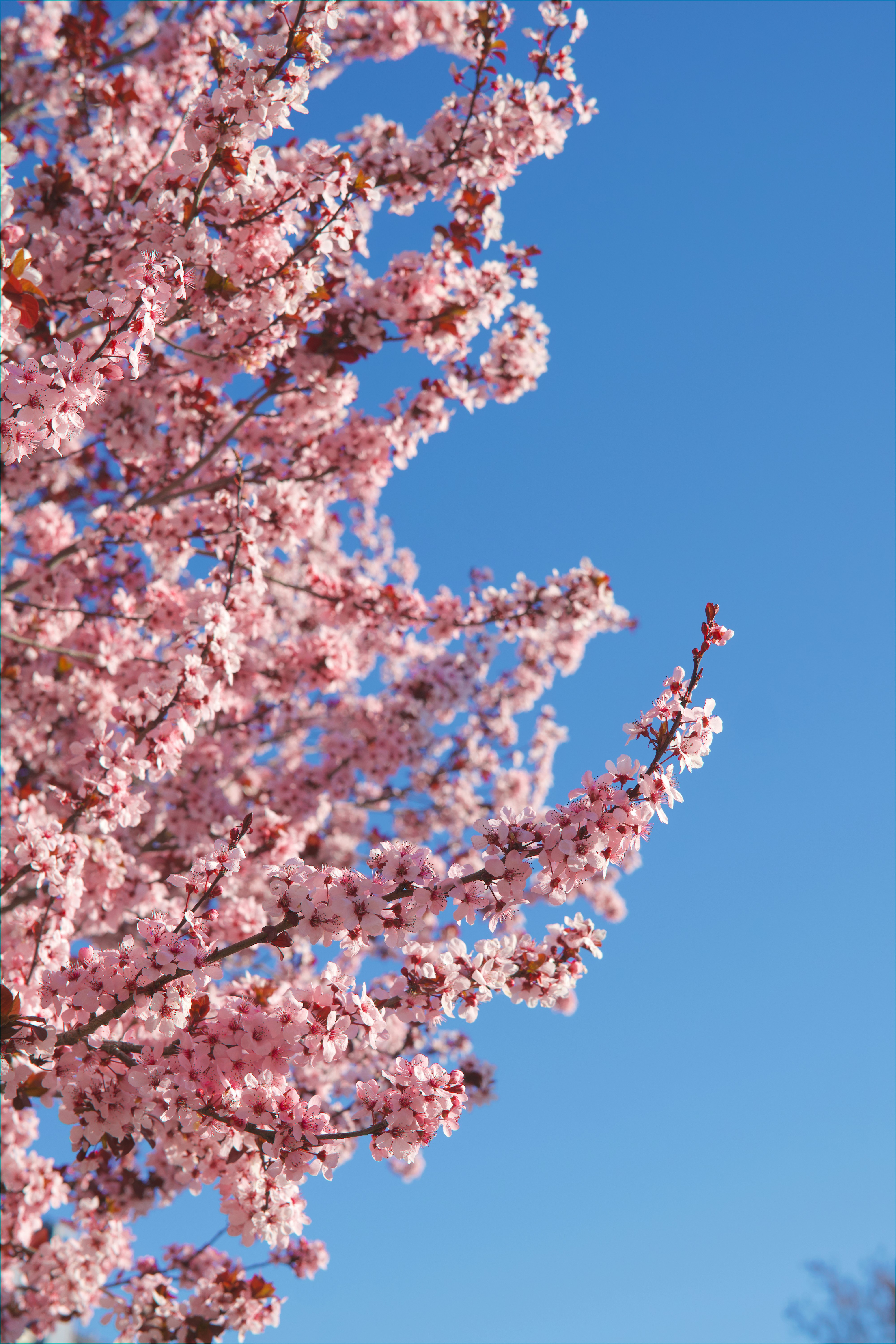 Photo by spencer_demera