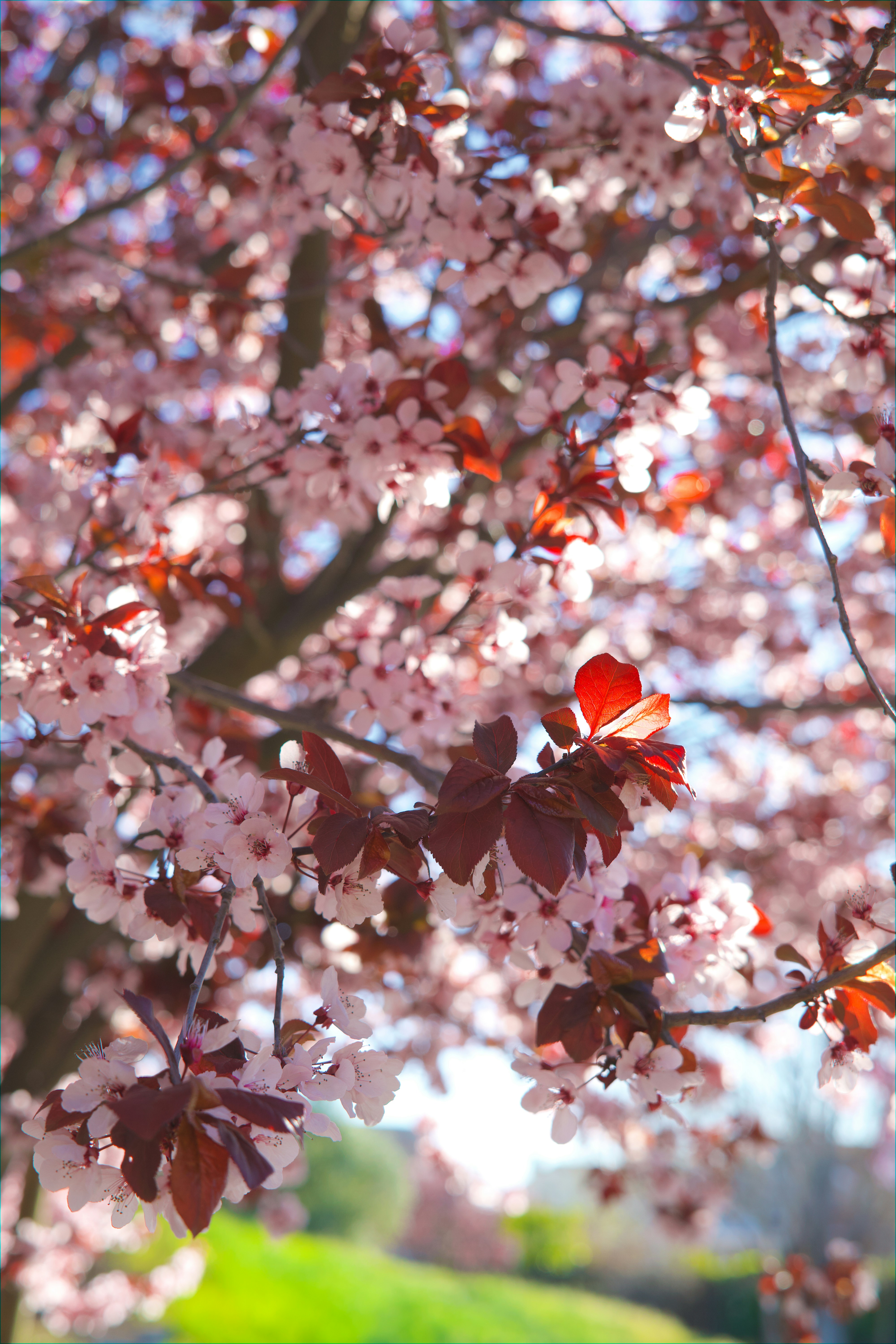 Photo by spencer_demera