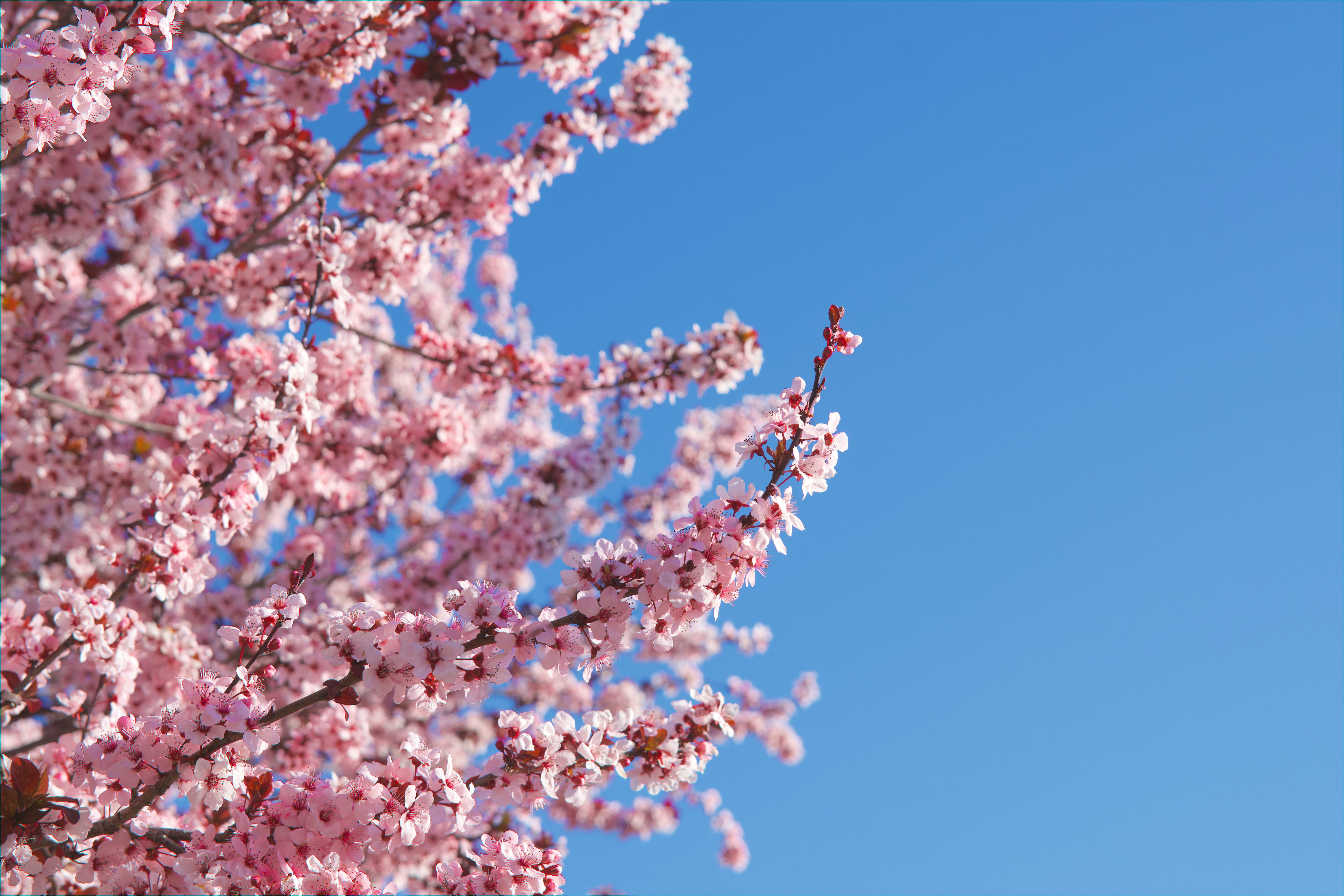 Photo by spencer_demera