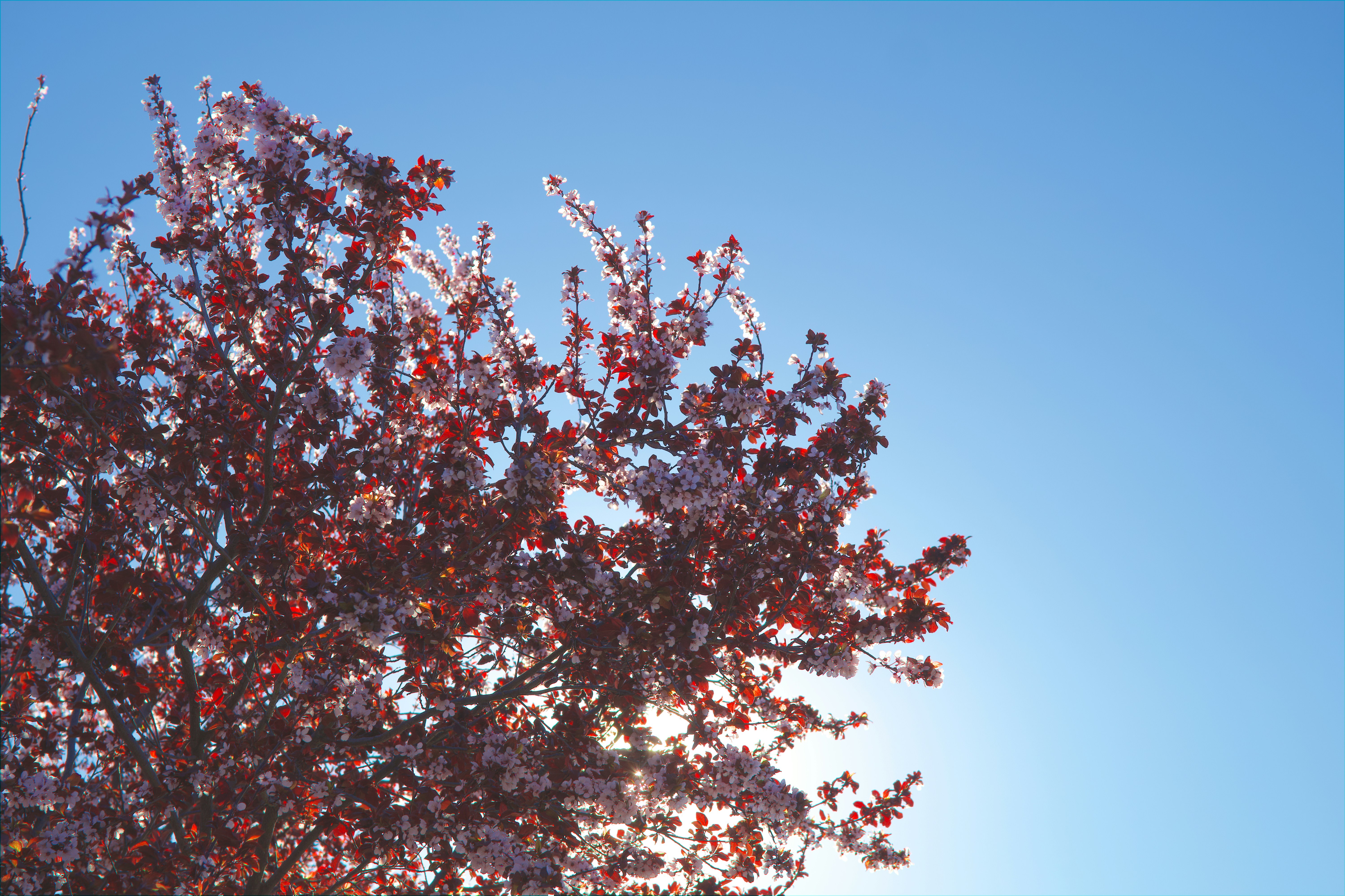 Photo by spencer_demera