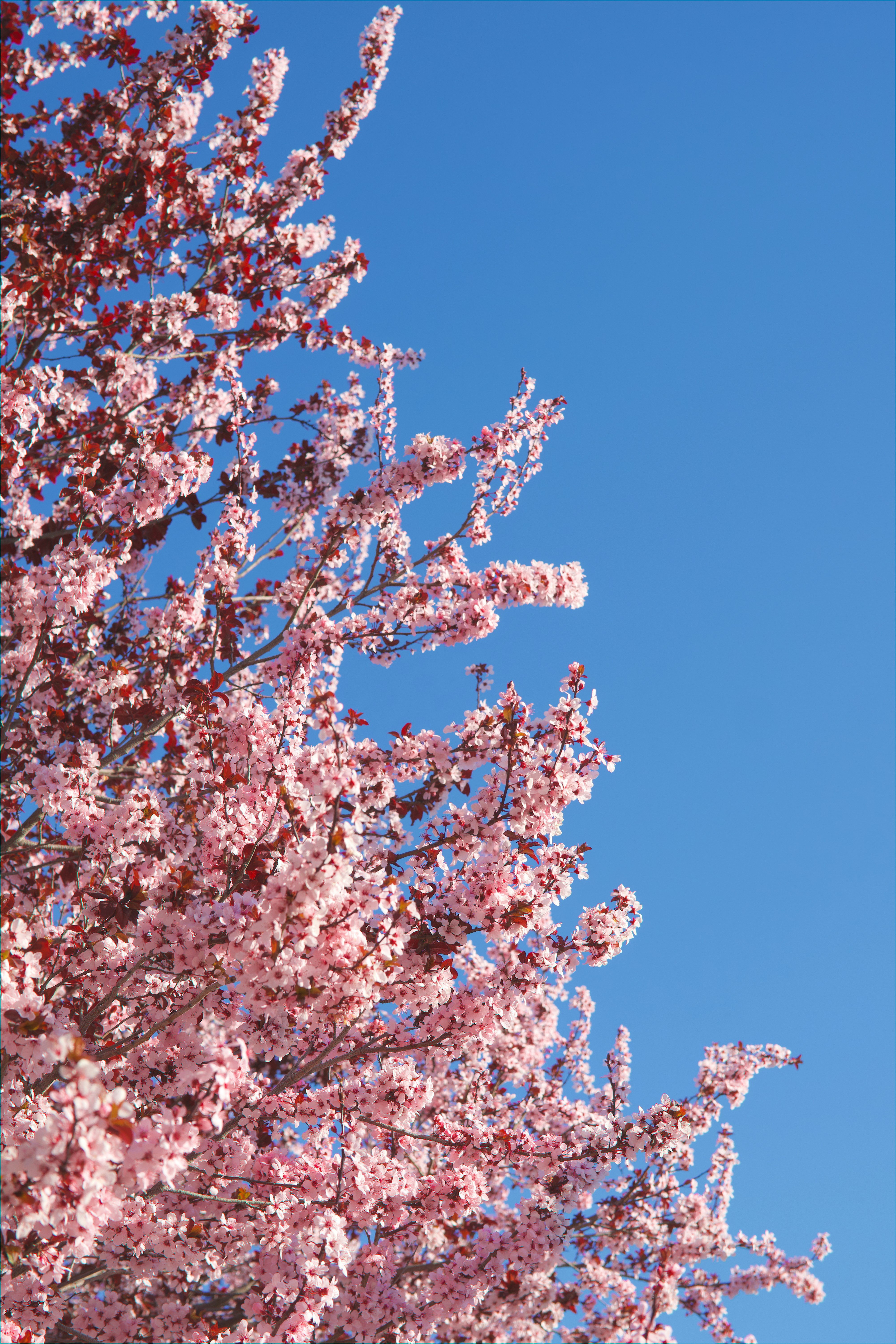 Photo by spencer_demera