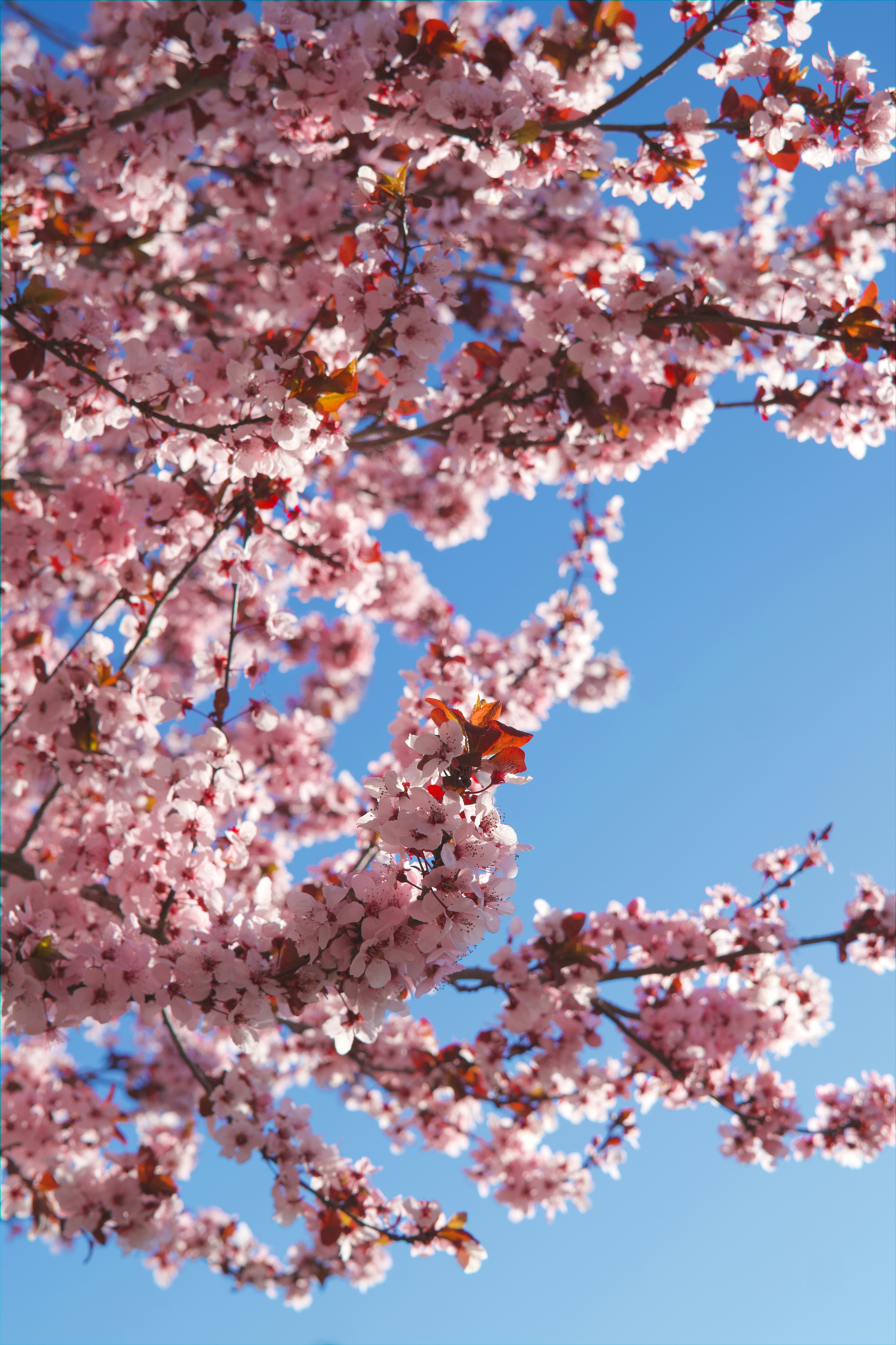 Photo by spencer_demera