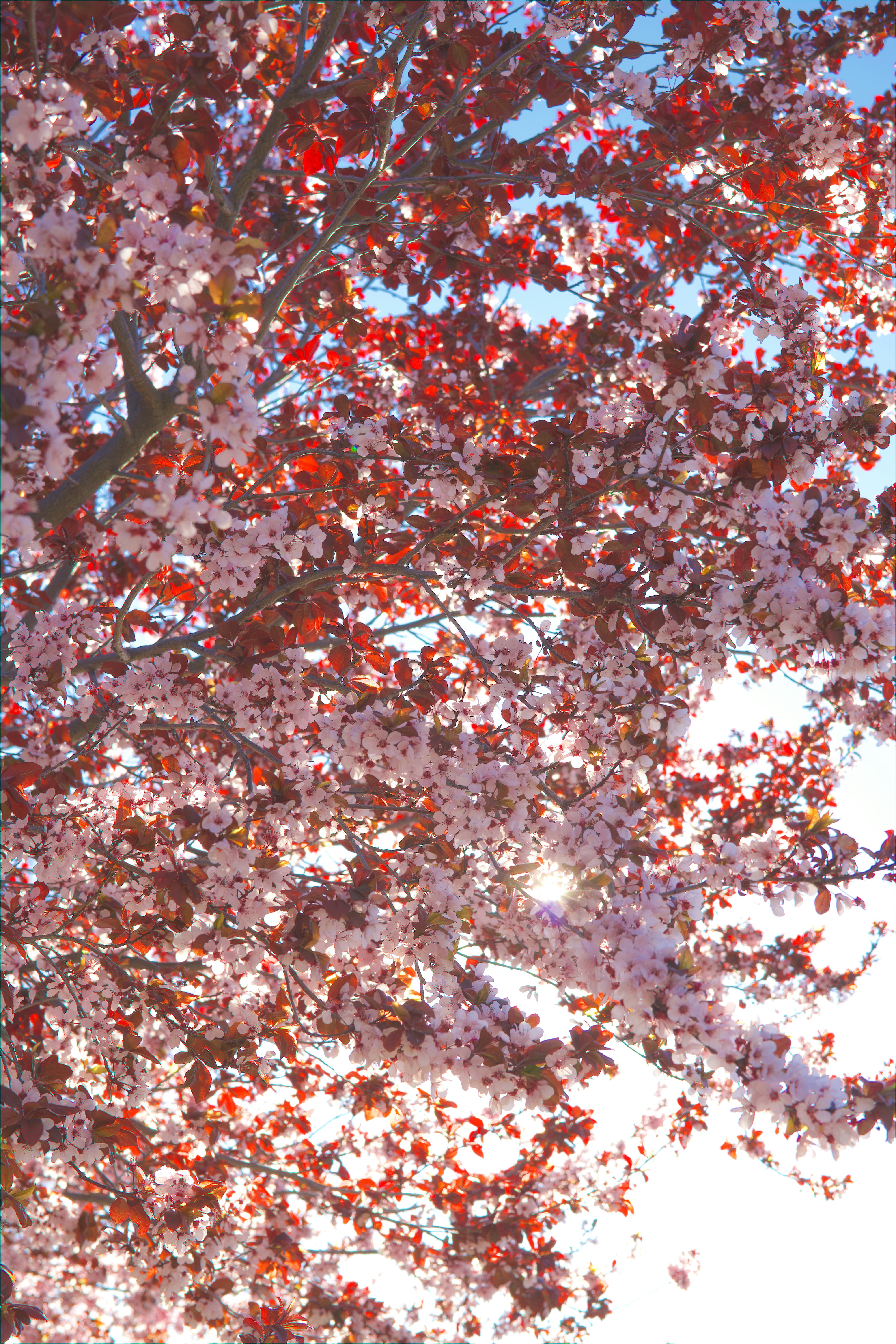 Photo by spencer_demera