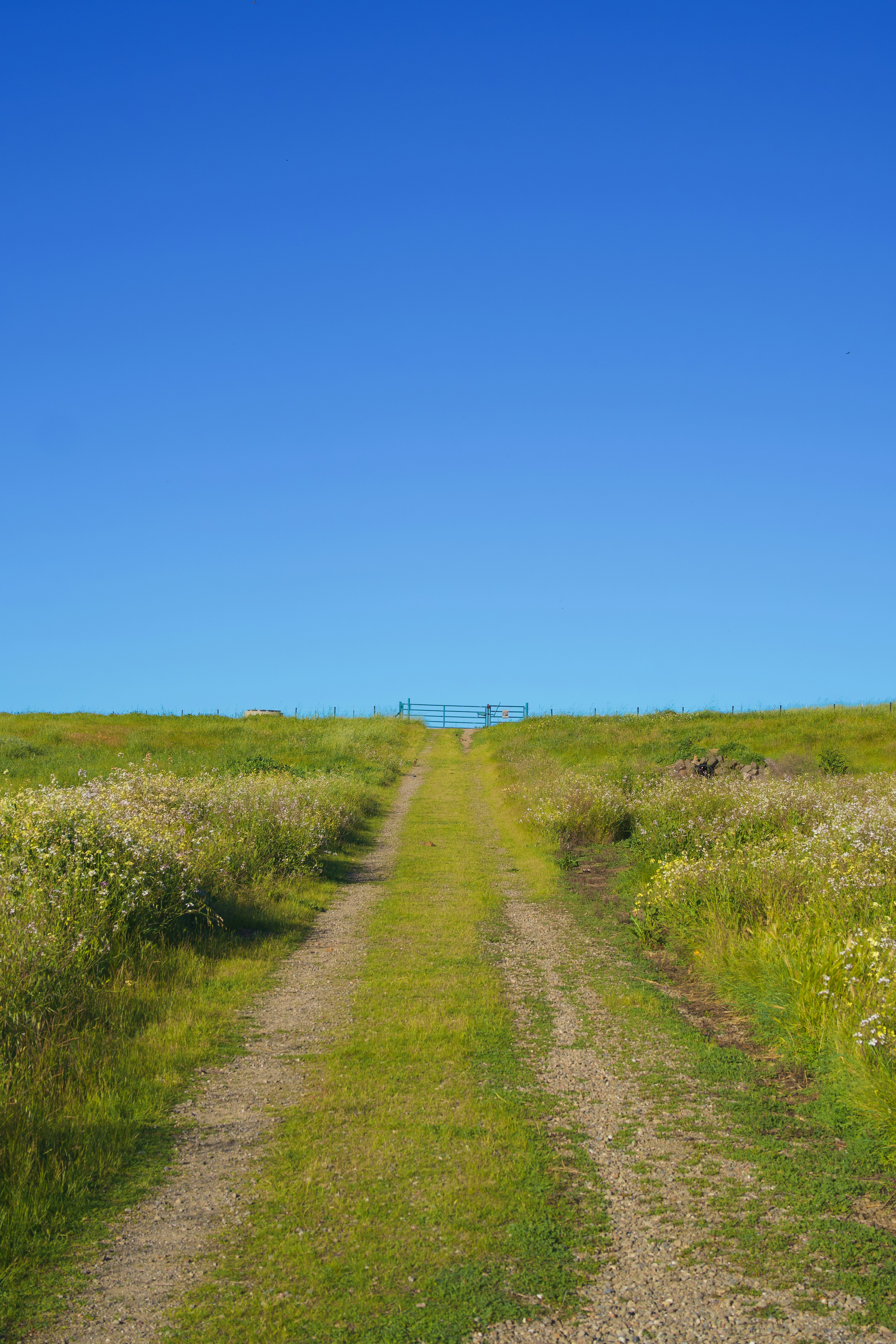 Photo by spencer_demera