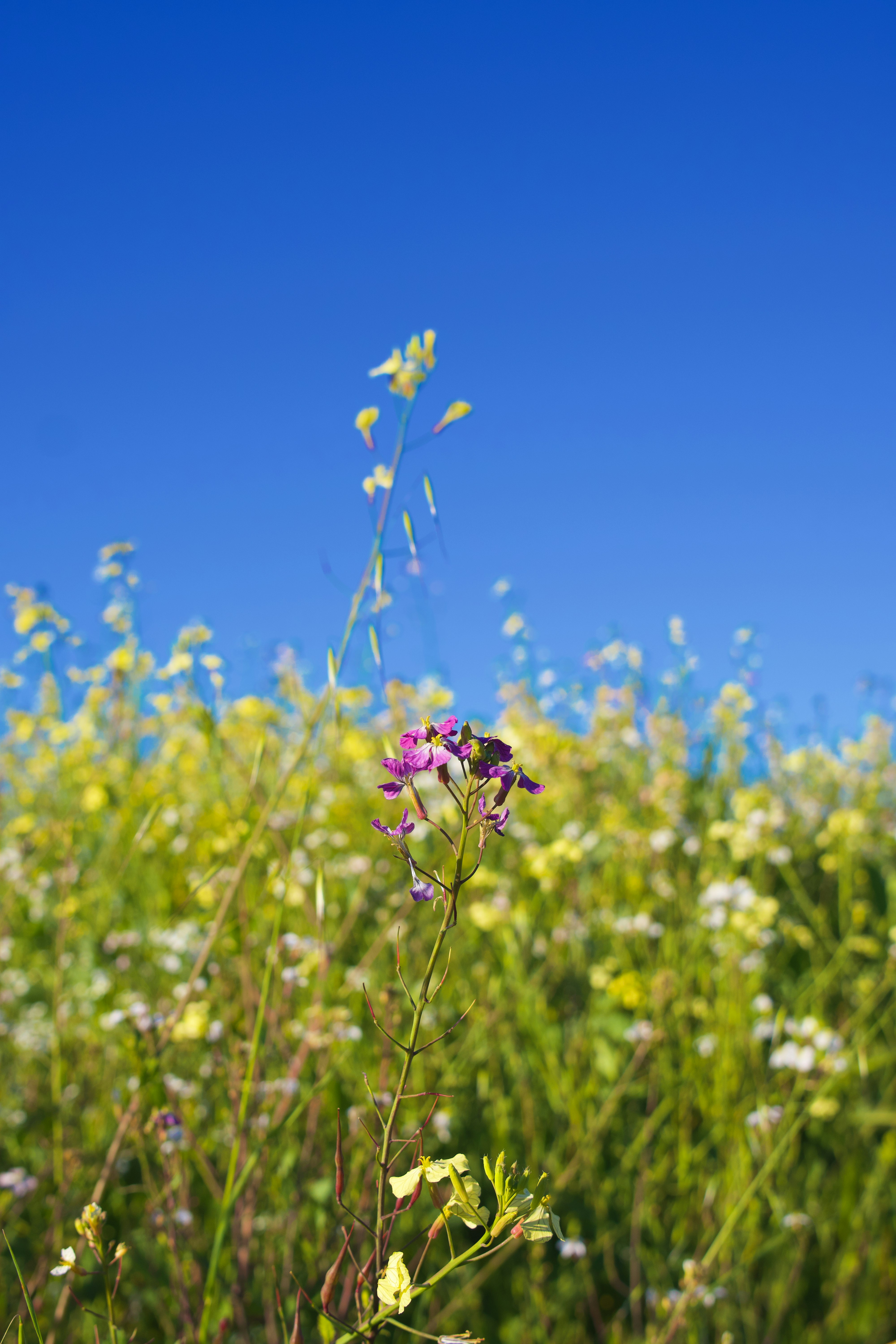 Photo by spencer_demera