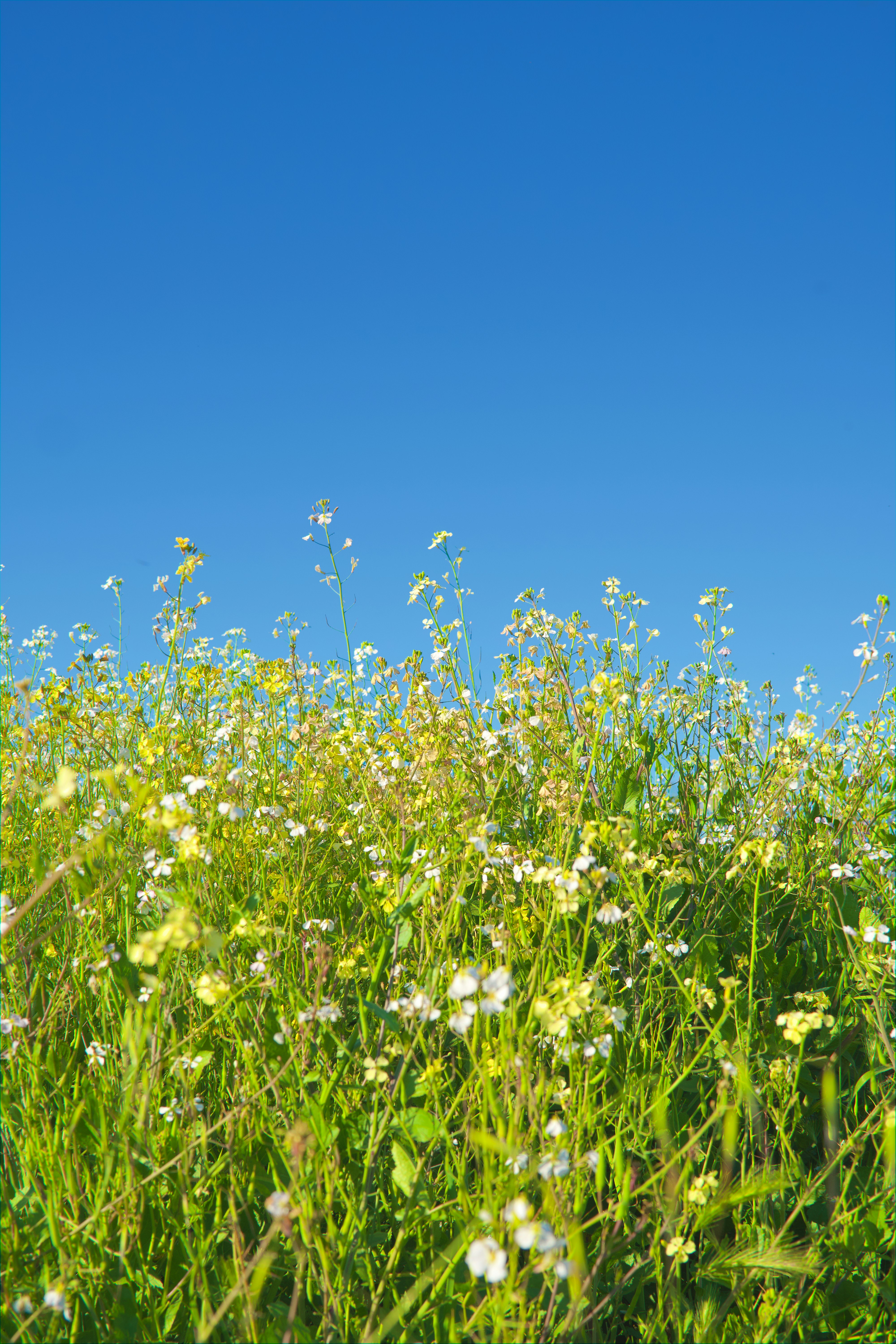 Photo by spencer_demera