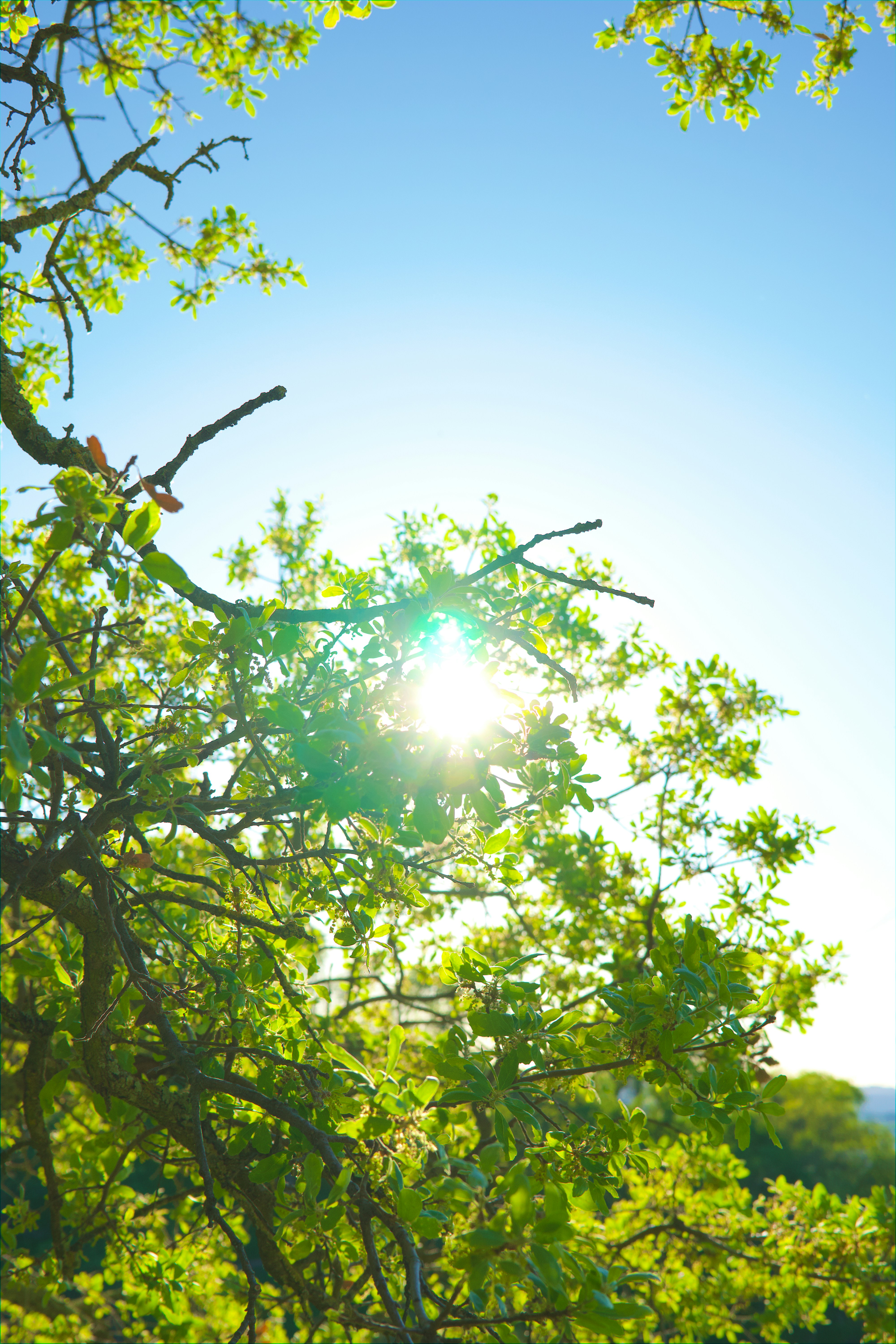 Photo by spencer_demera