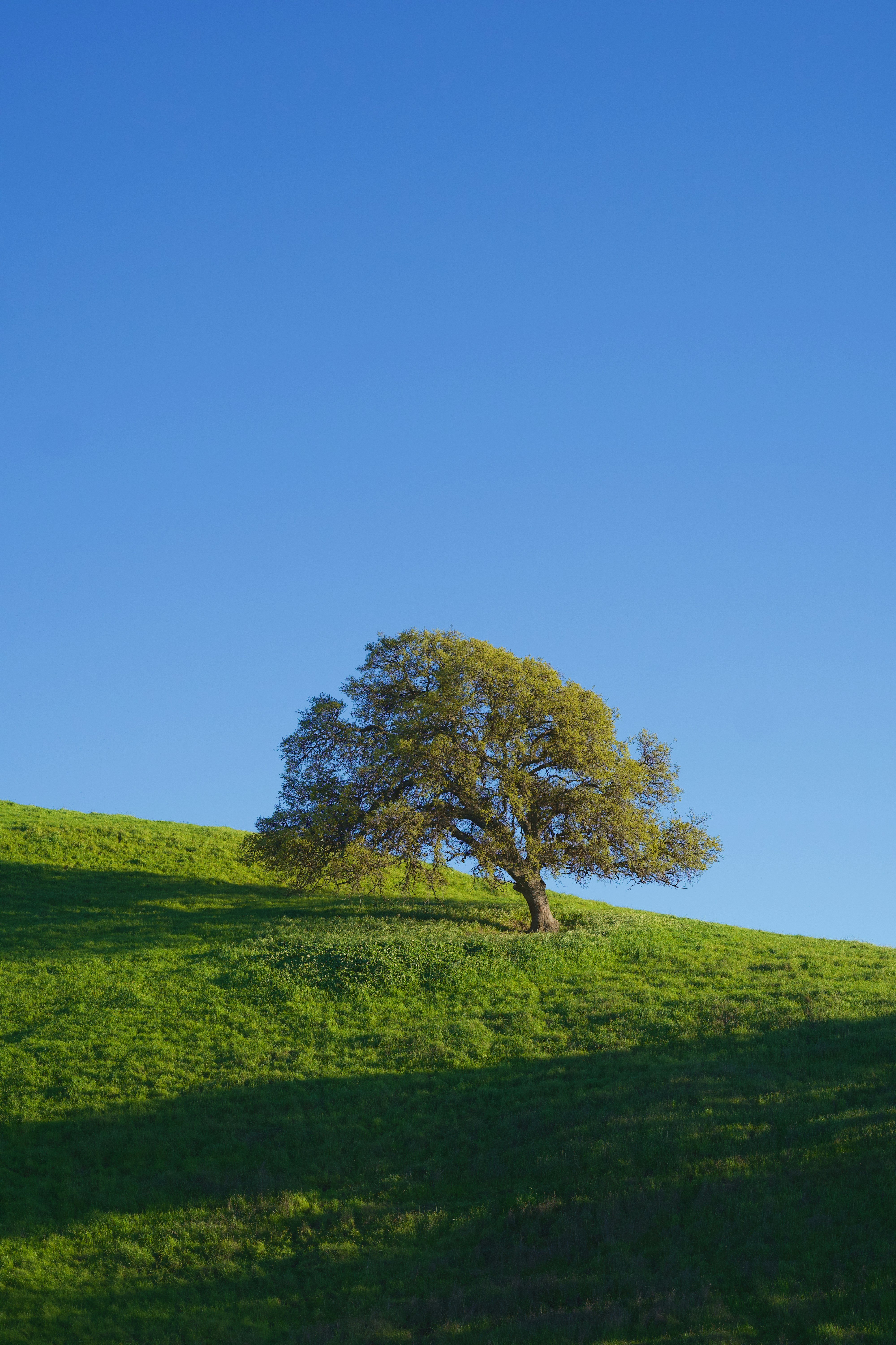 Photo by spencer_demera