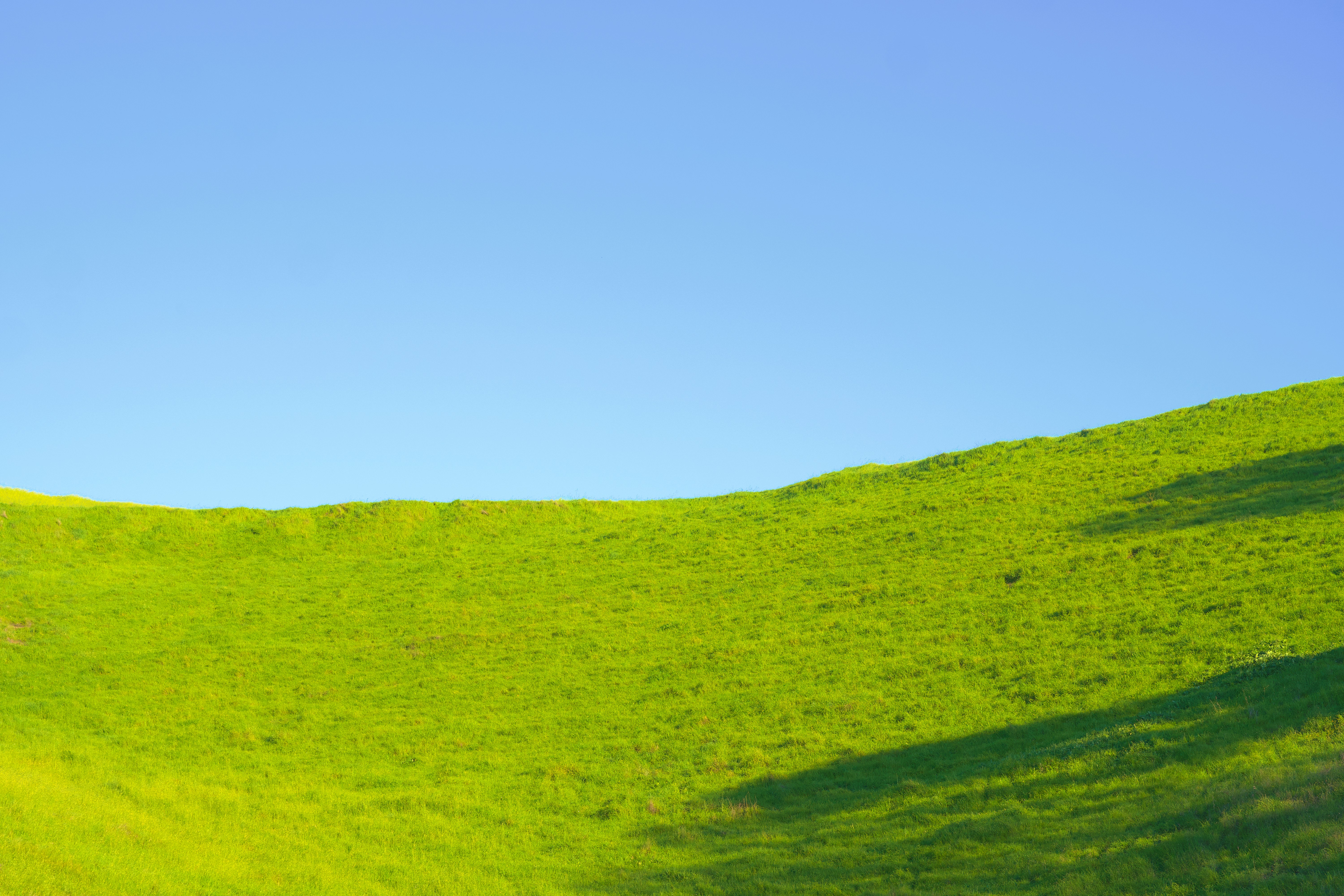 Photo by spencer_demera