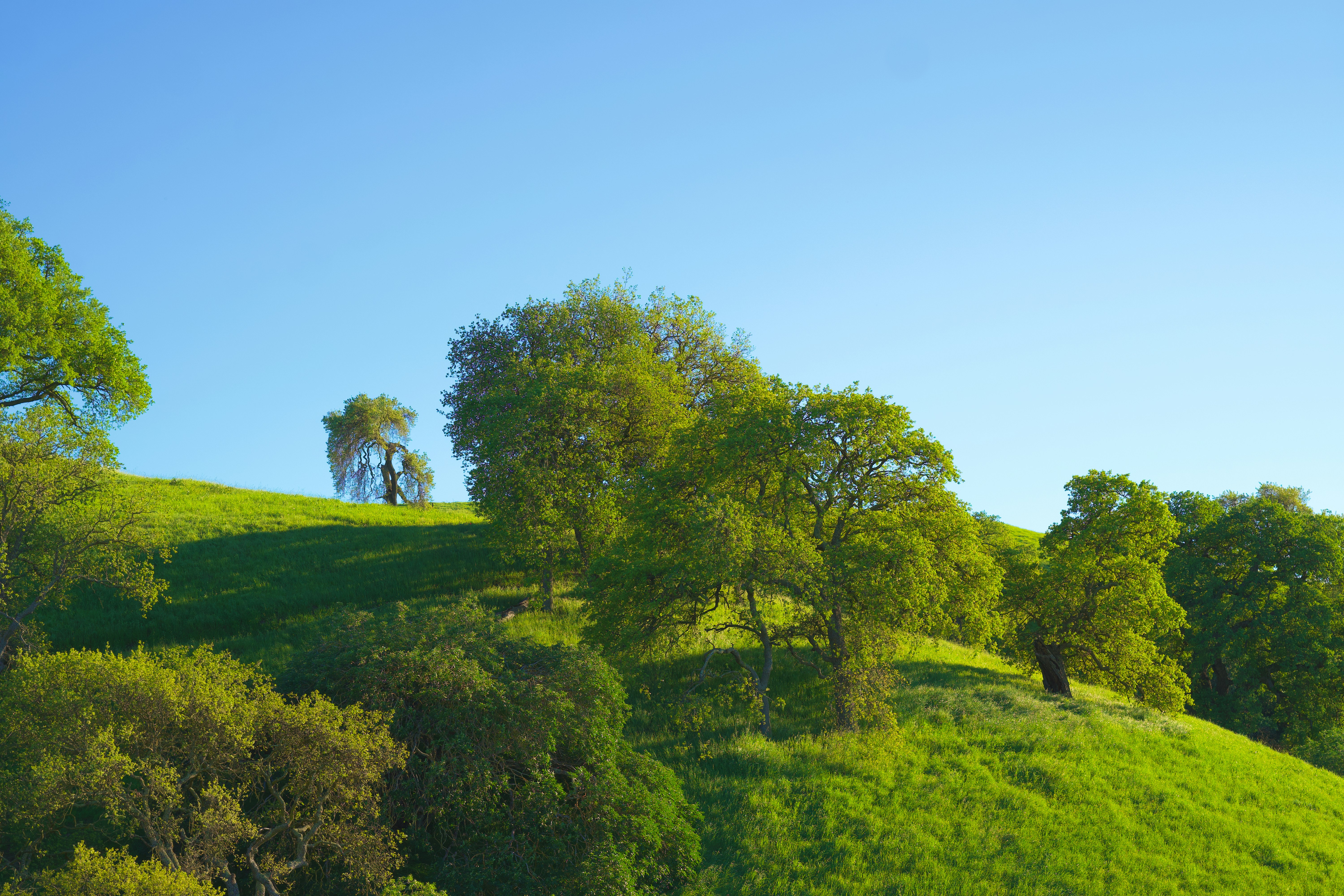 Photo by spencer_demera