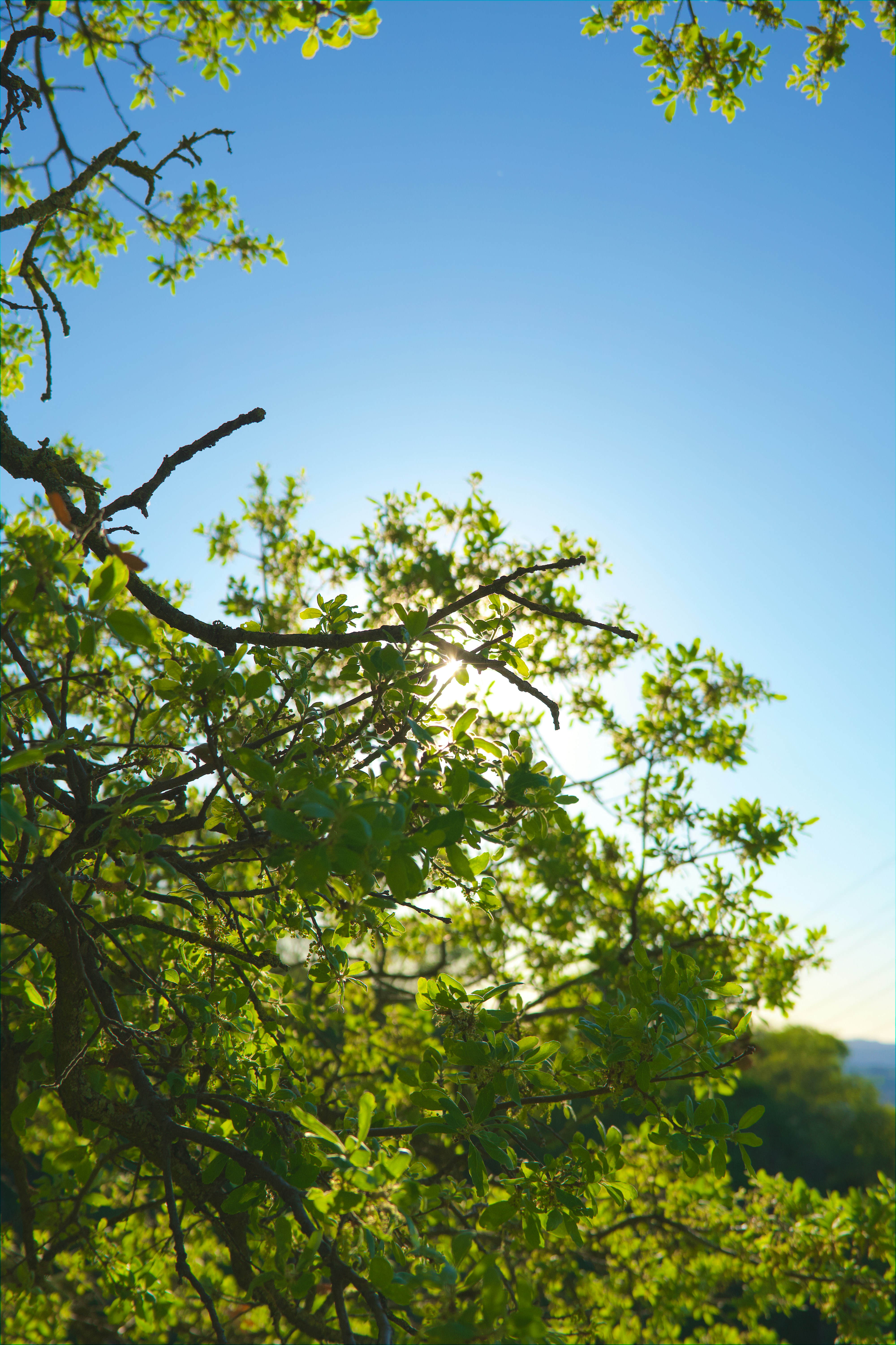 Photo by spencer_demera