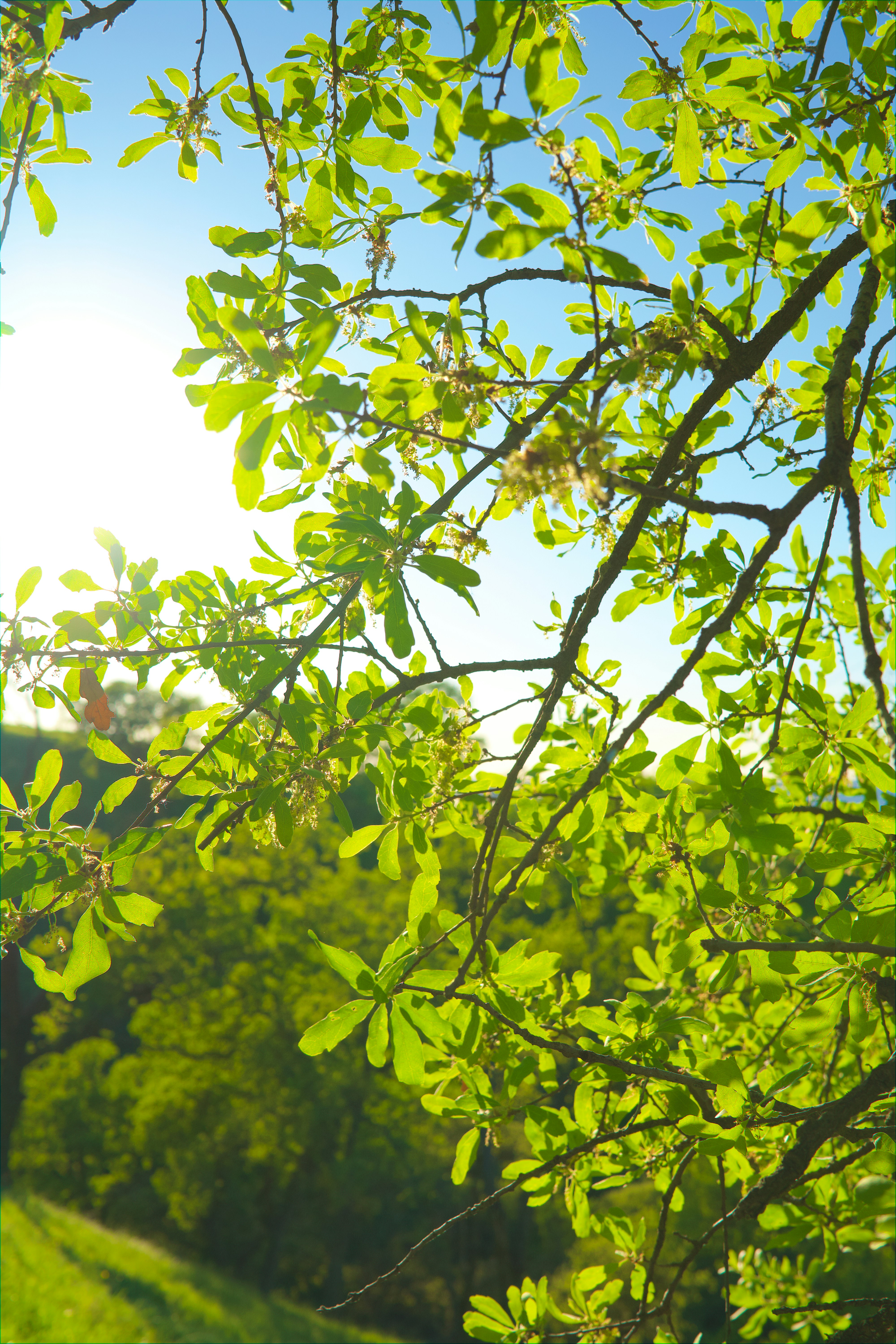 Photo by spencer_demera