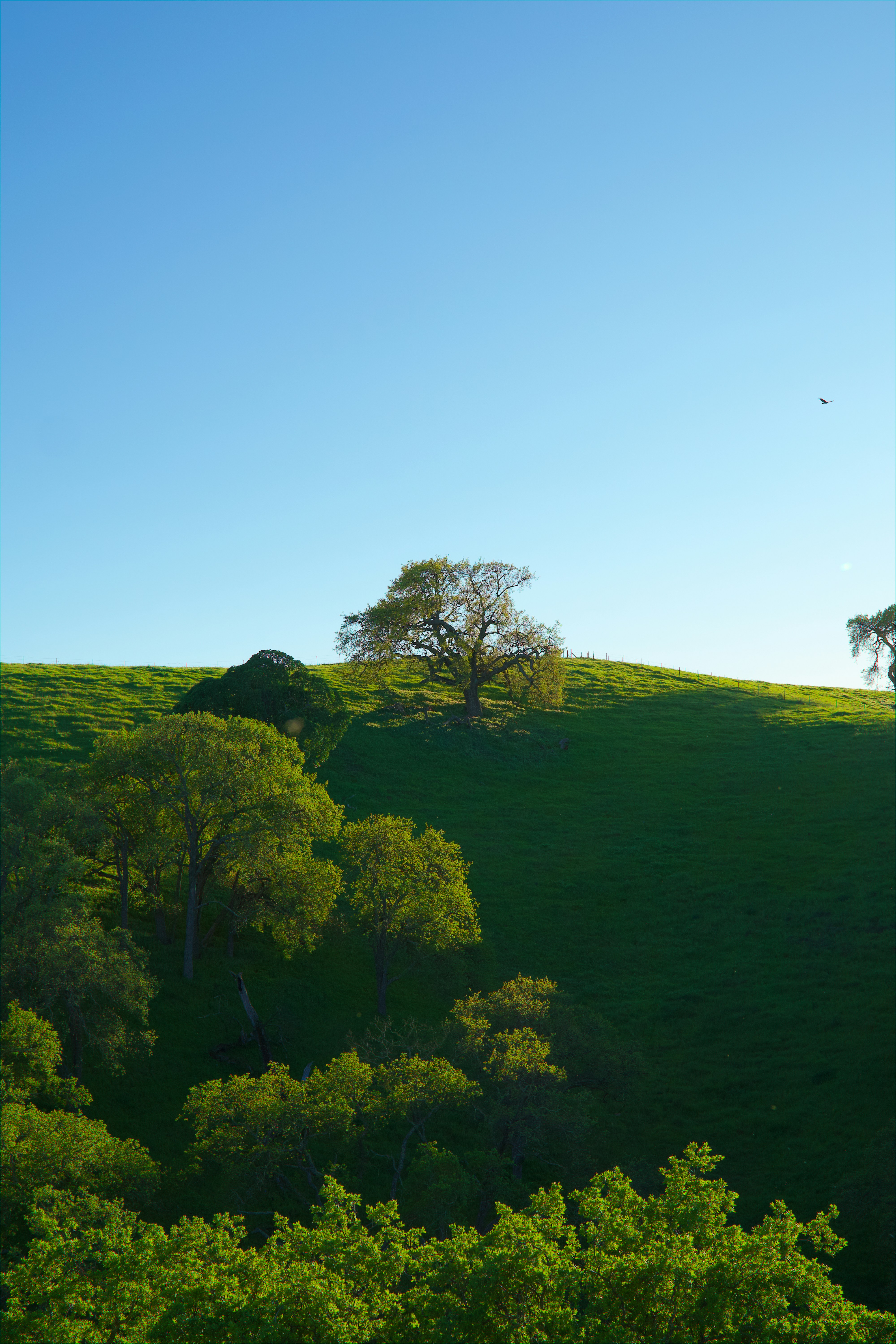 Photo by spencer_demera