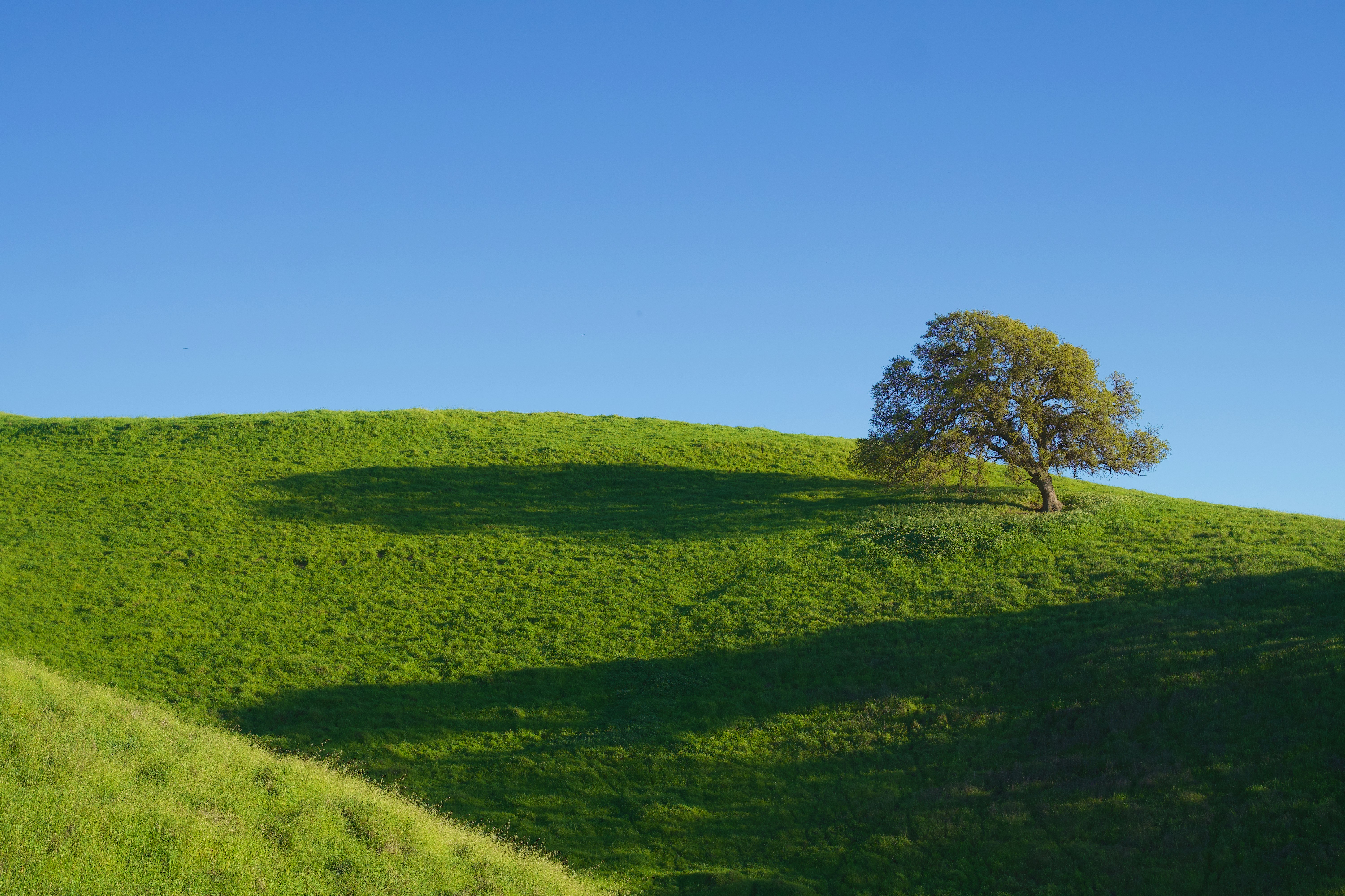 Photo by spencer_demera