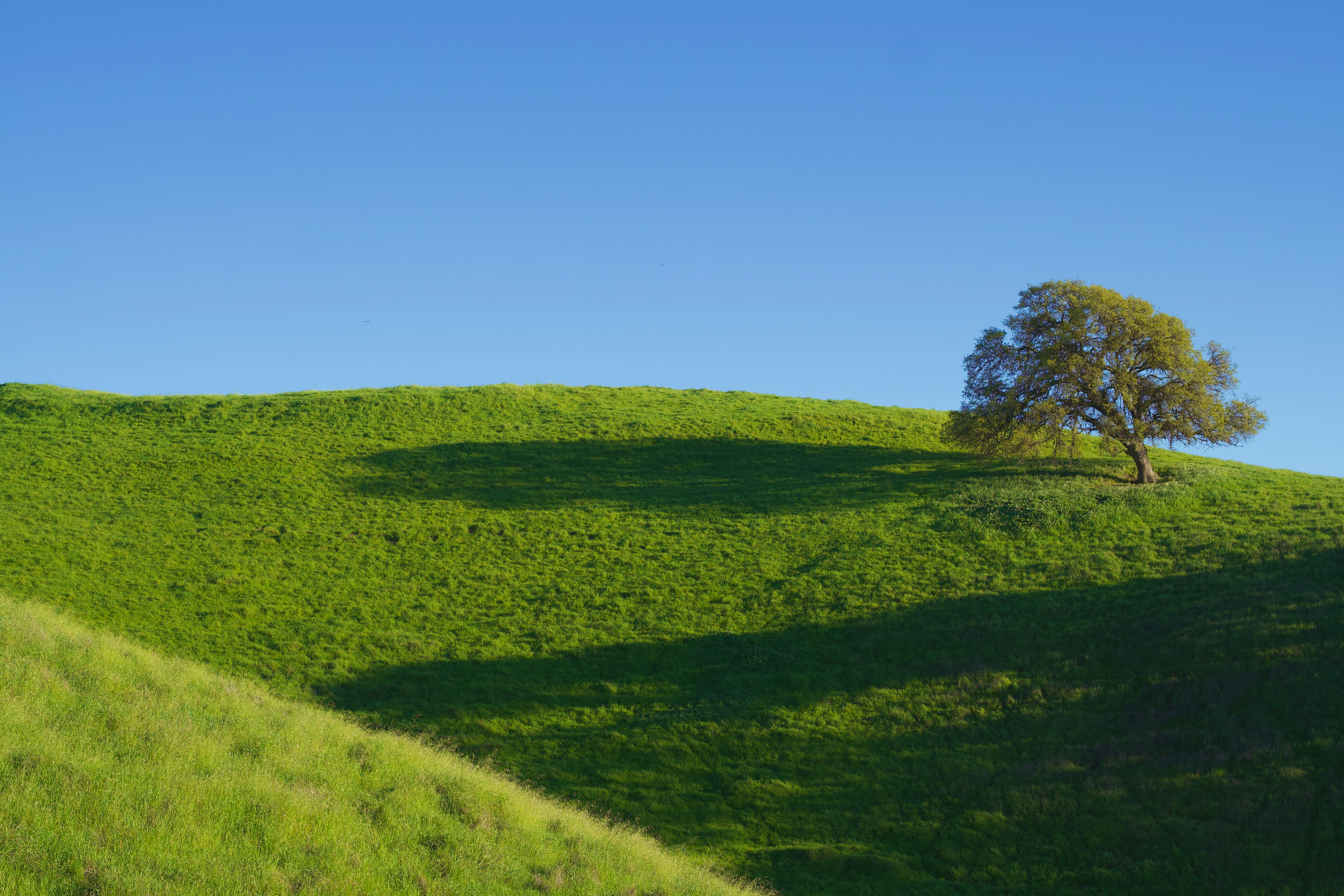 Photo by spencer_demera