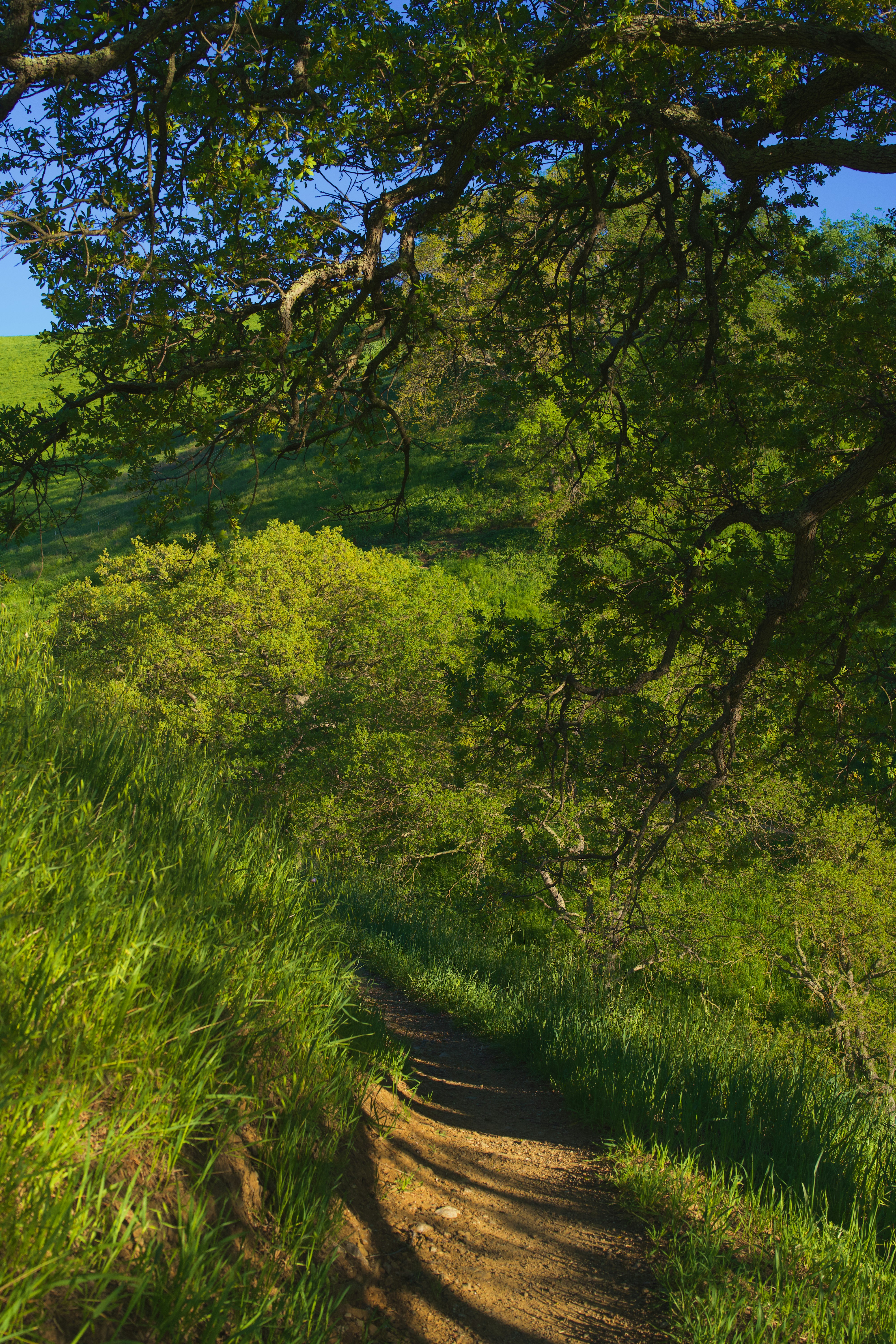 Photo by spencer_demera