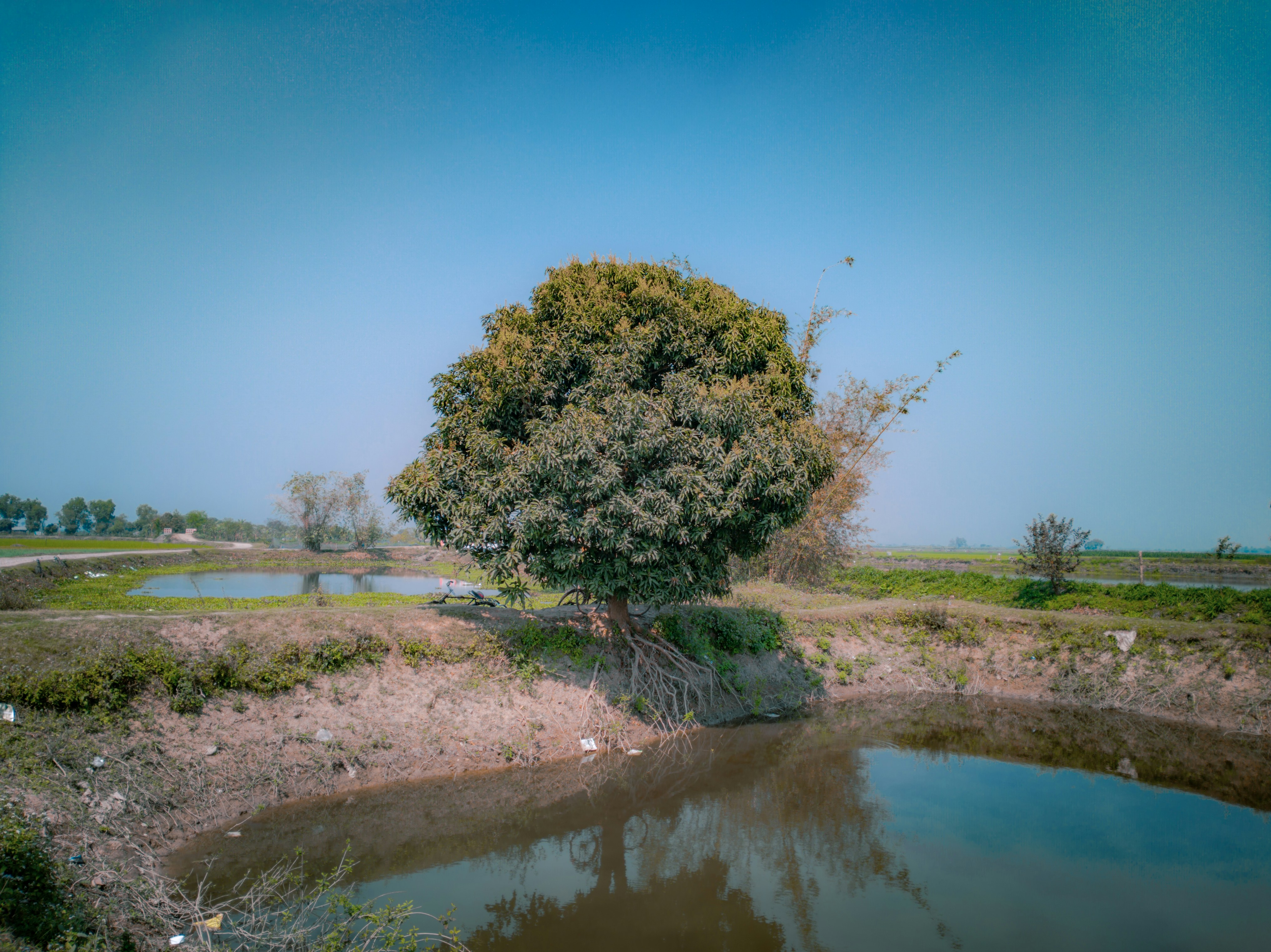 Photo by anikphotography