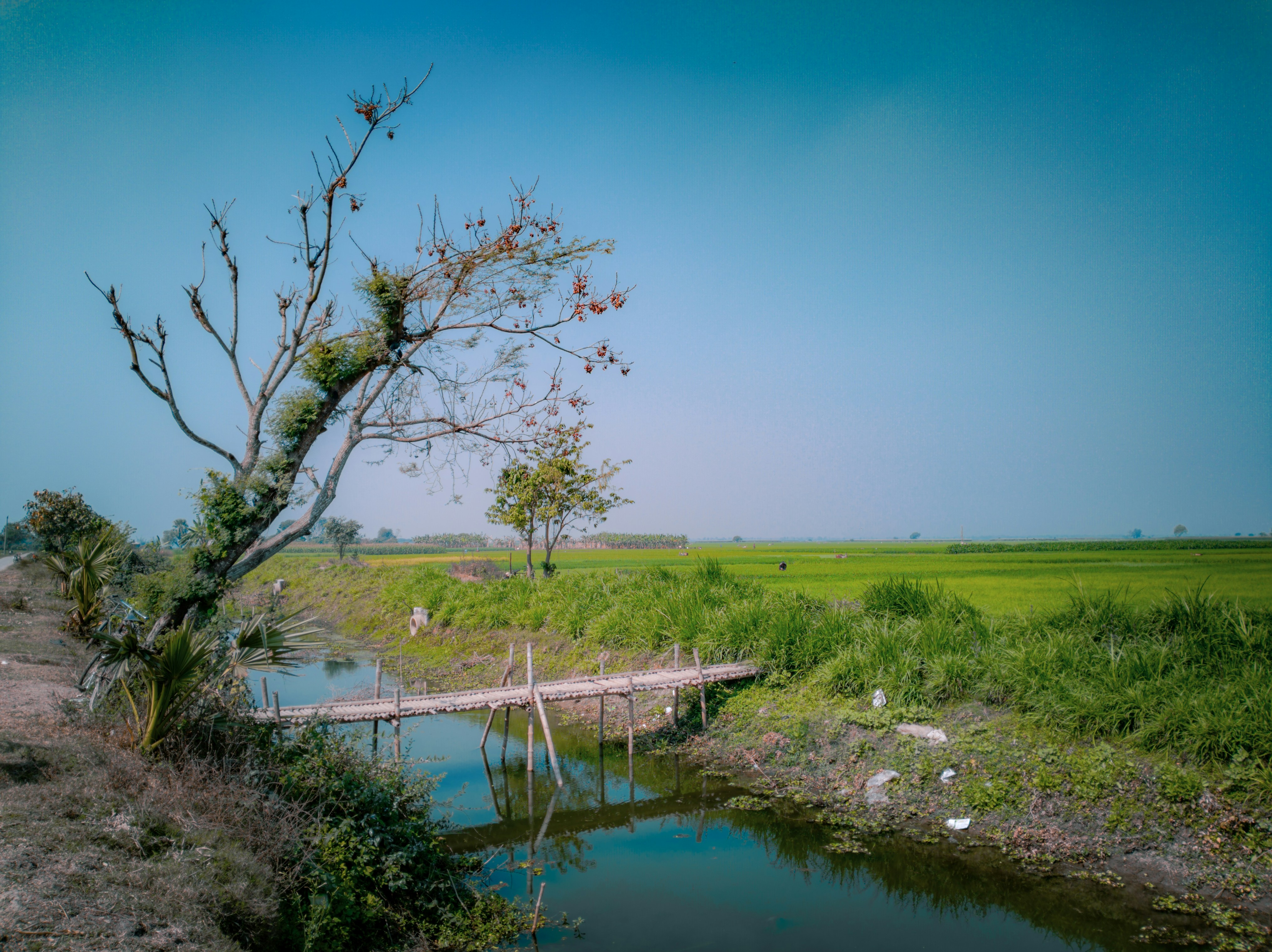 Photo by anikphotography