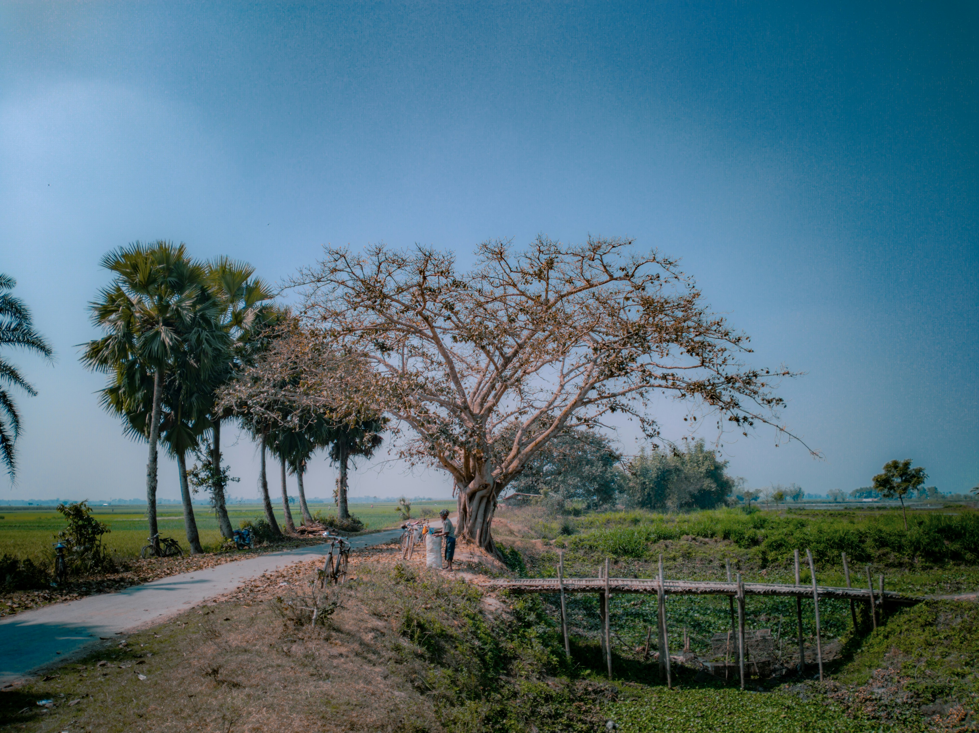 Photo by anikphotography