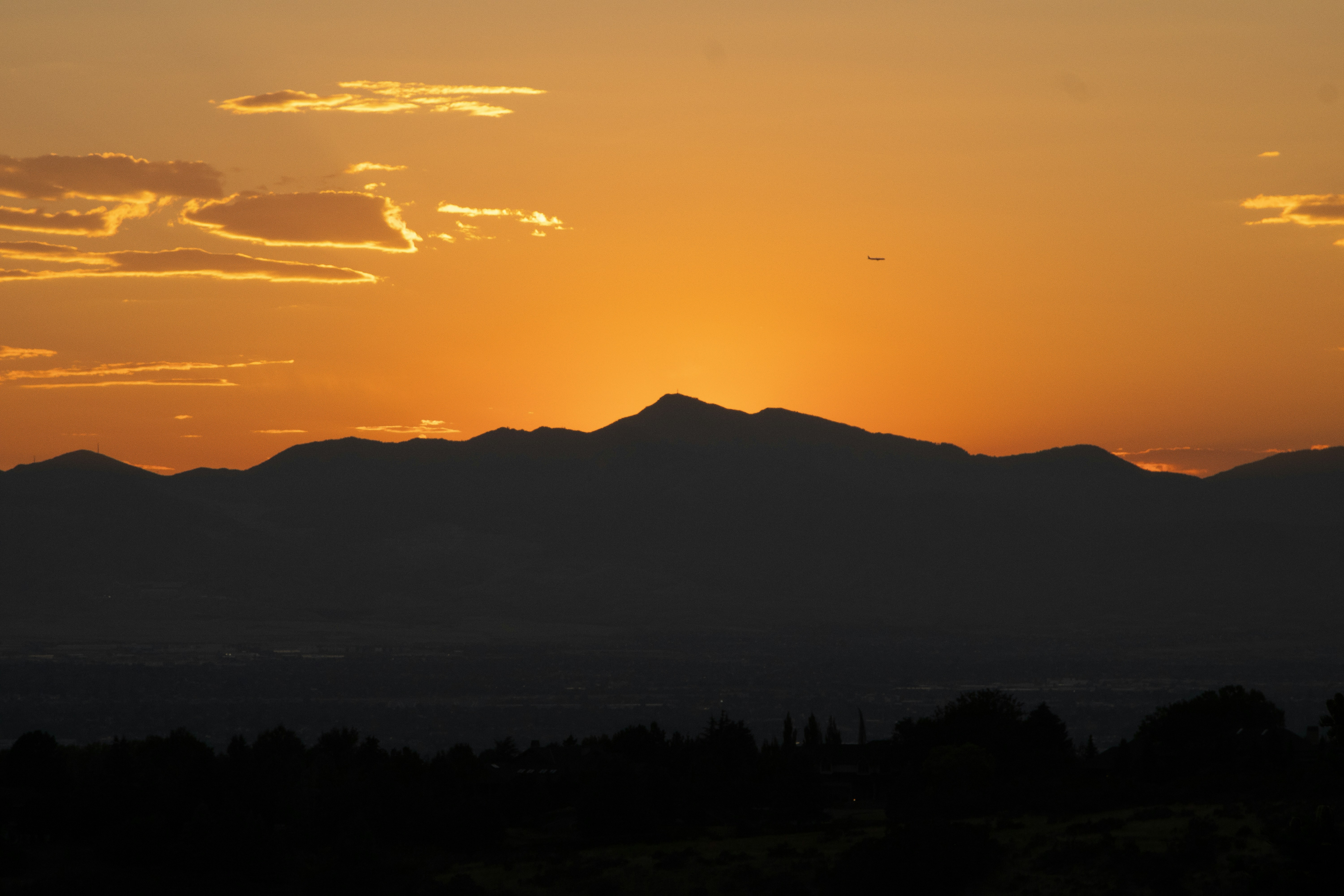 Photo by hadopelagic