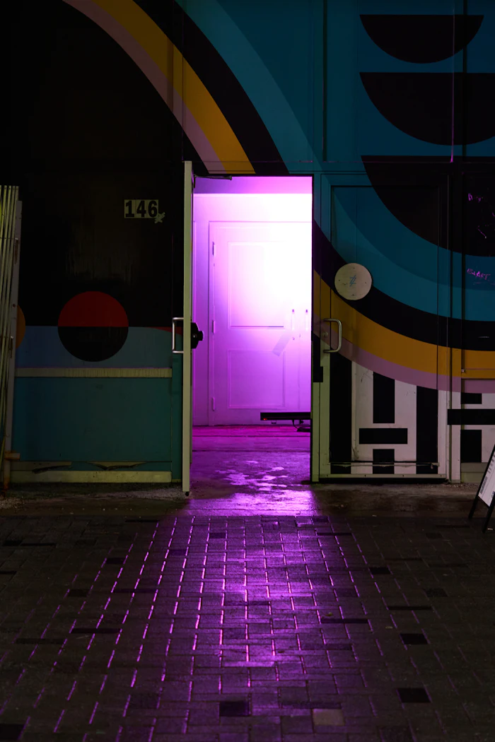 Door Supervisors in a London property