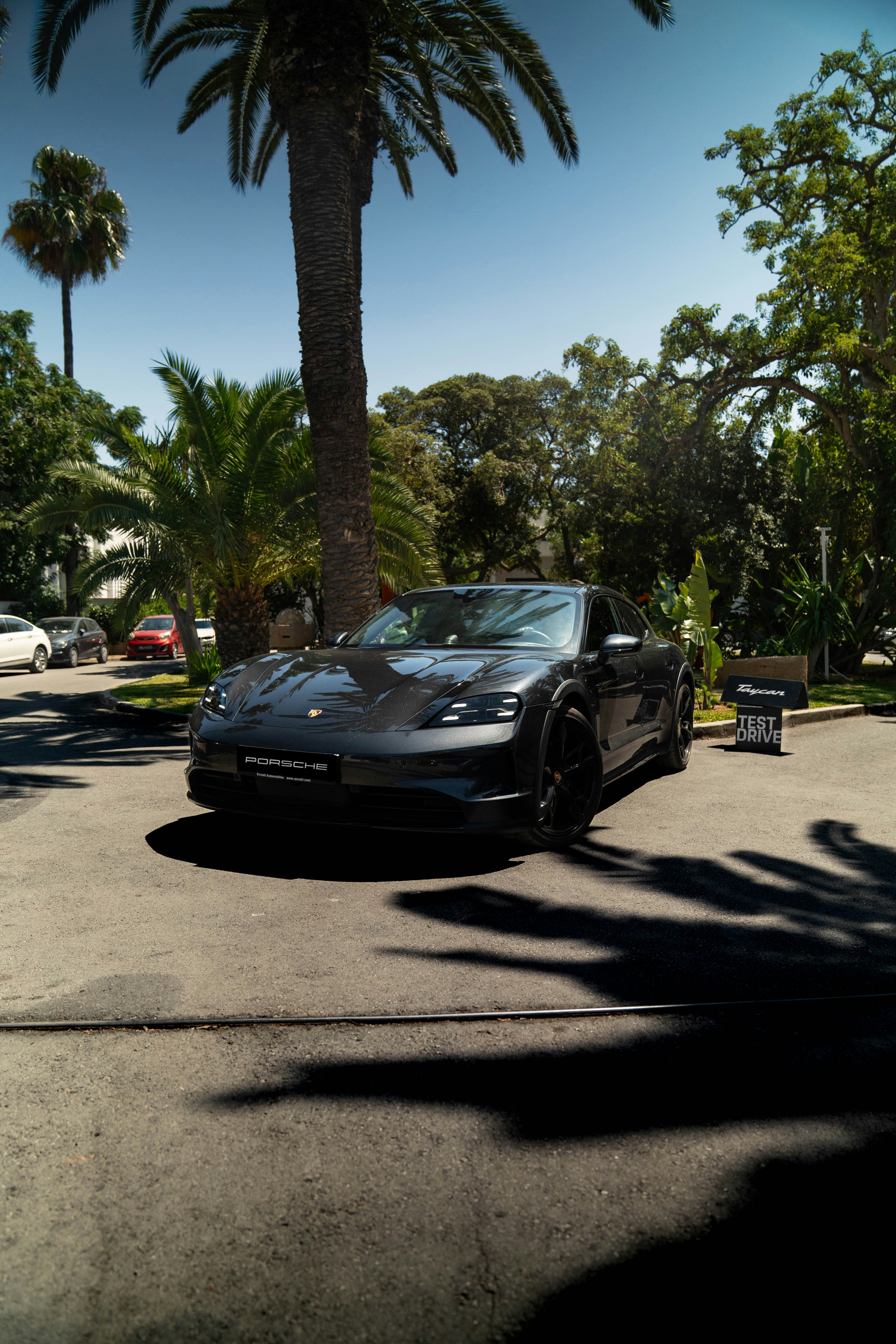 Photo by timou_turner