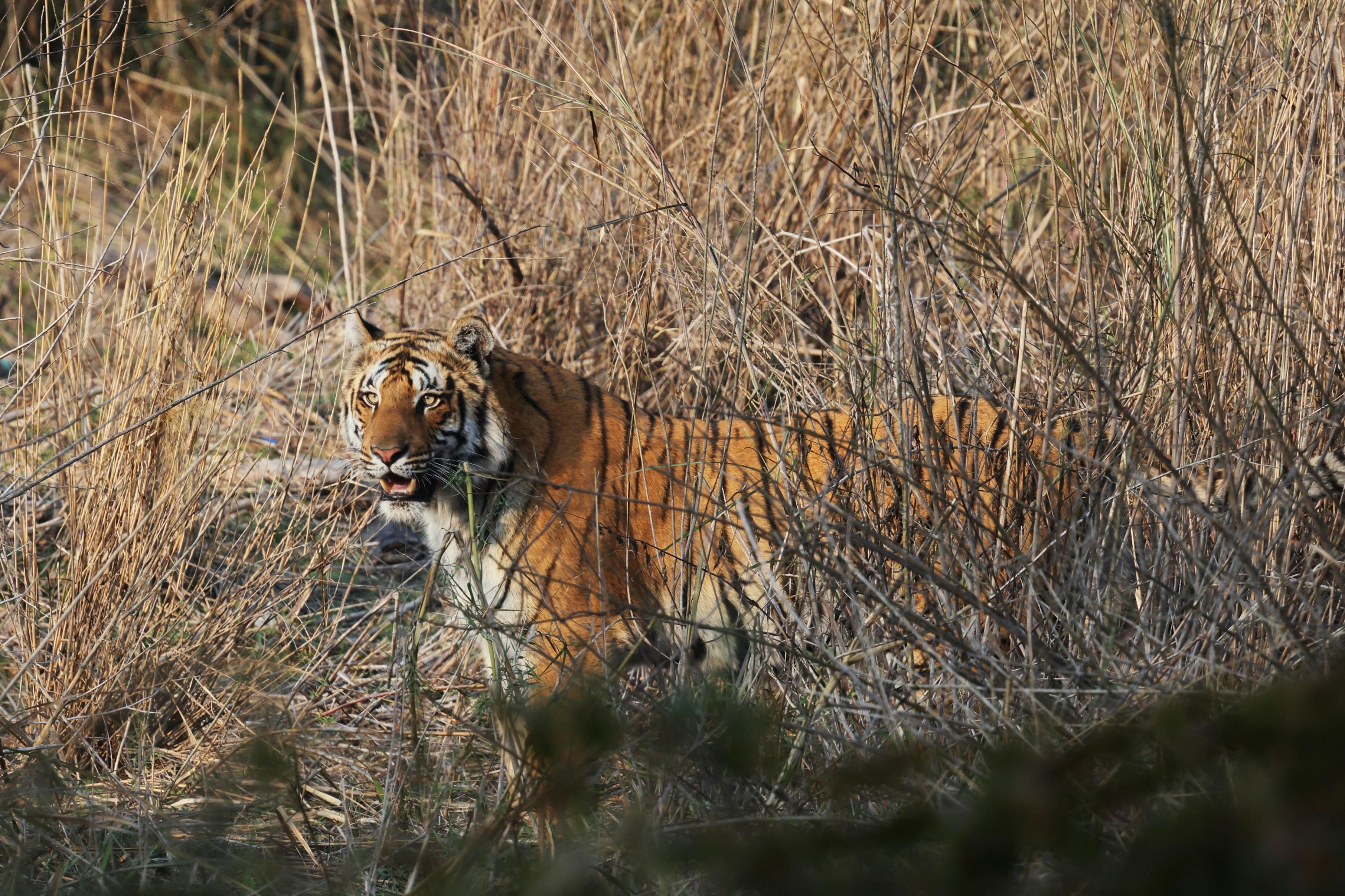 Photo by lakshmimn68