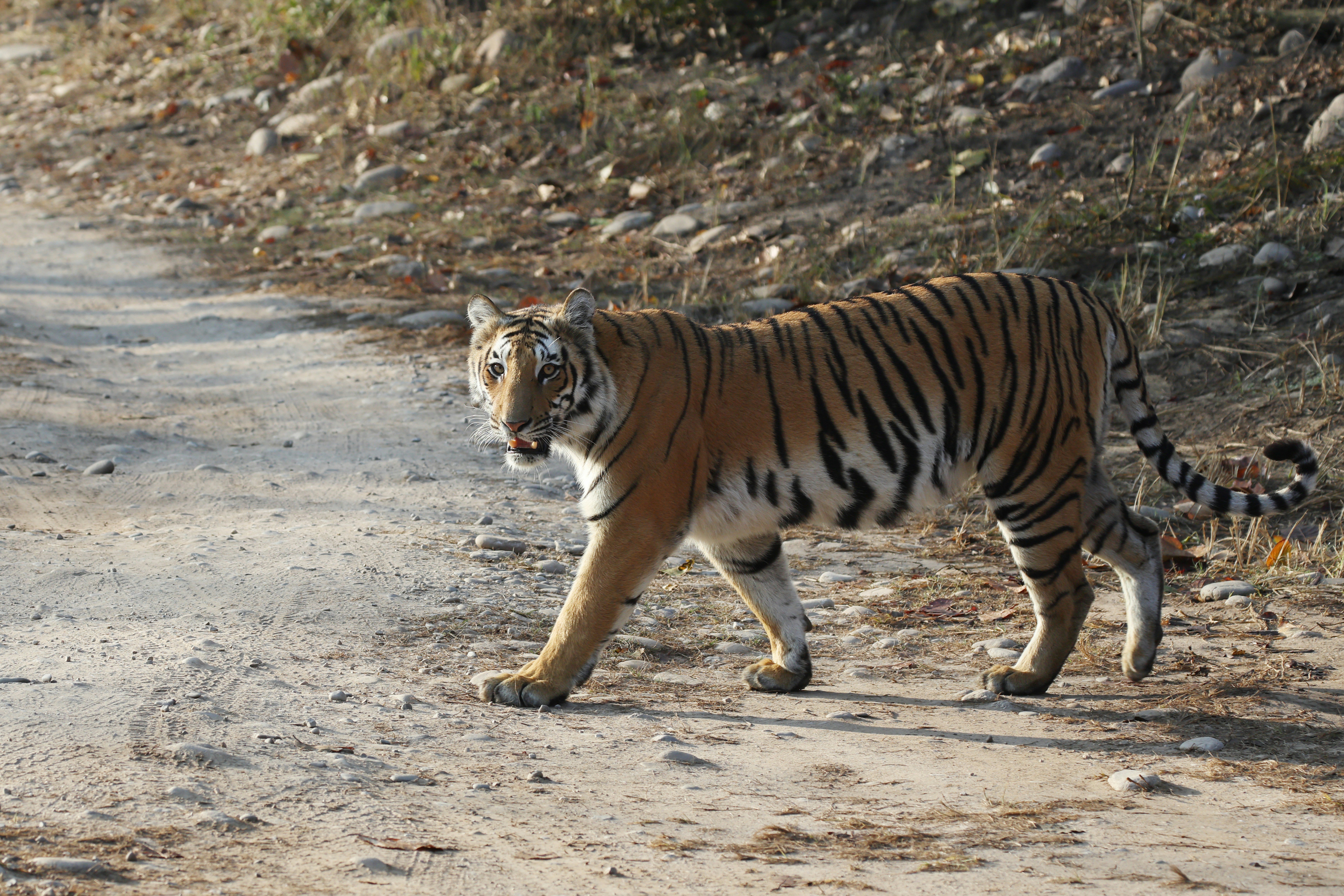 Photo by lakshmimn68