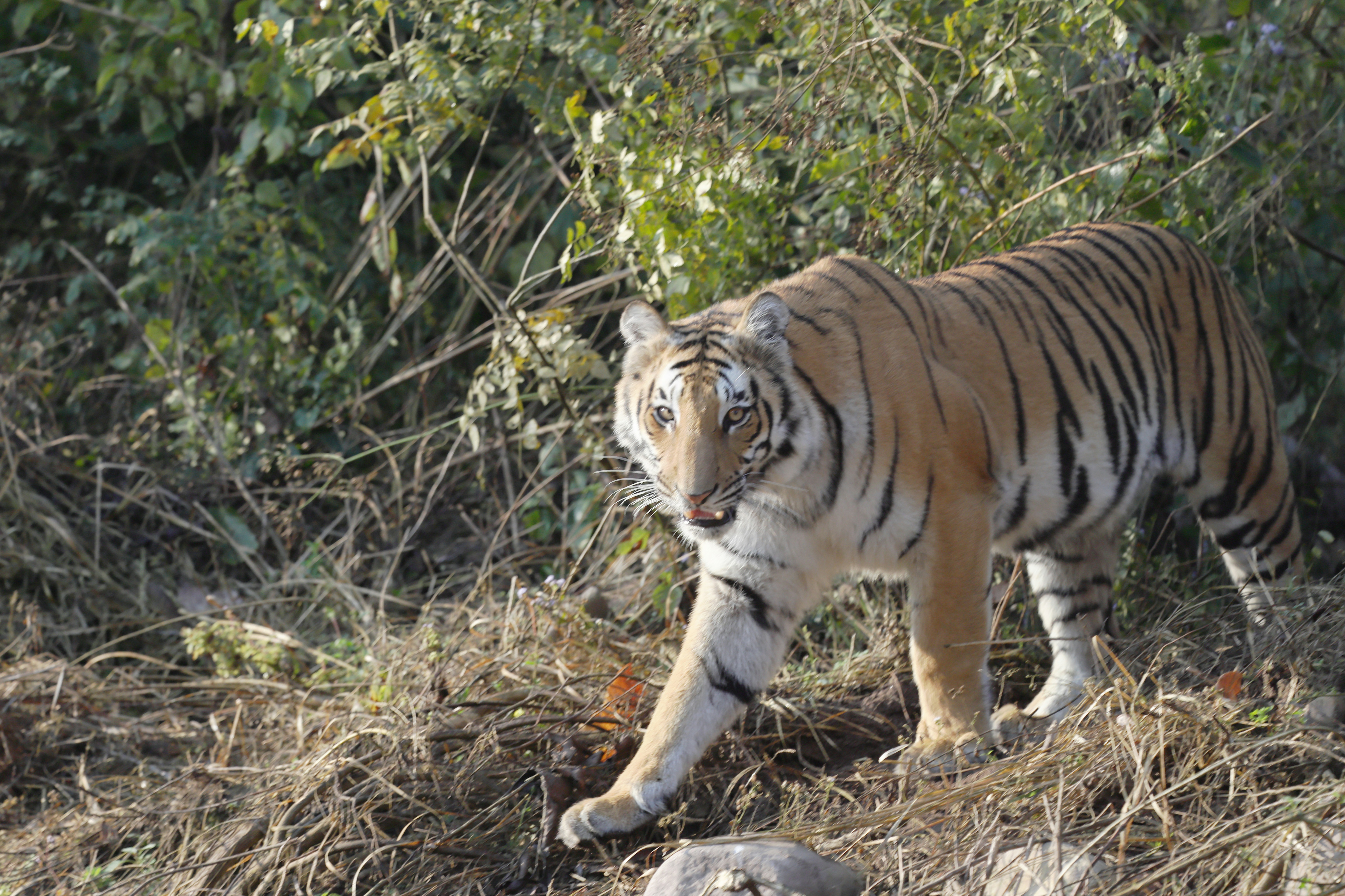 Photo by lakshmimn68