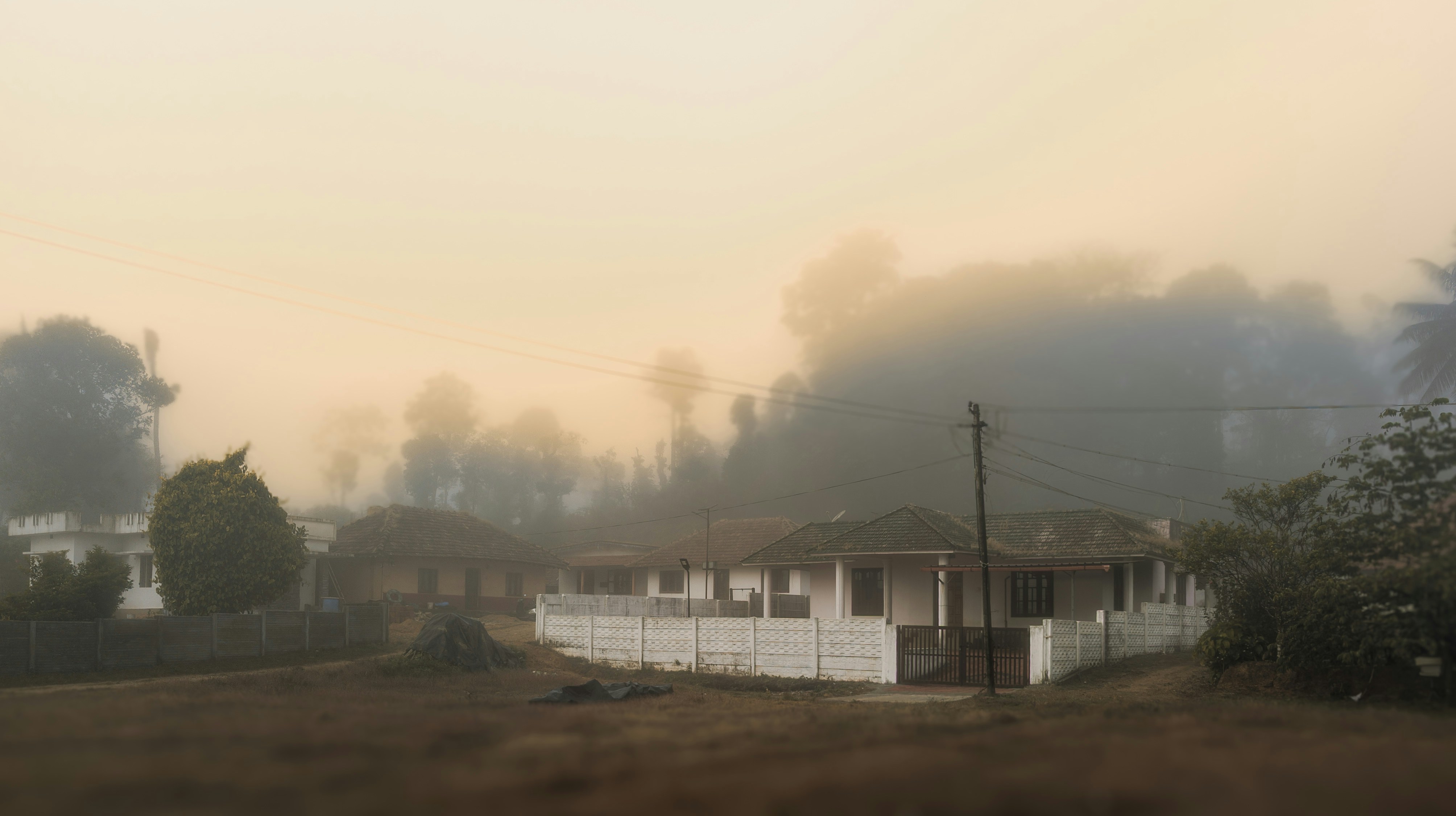 Häuser in einer nebligen, bedeckten Landschaft mit Bäumen.