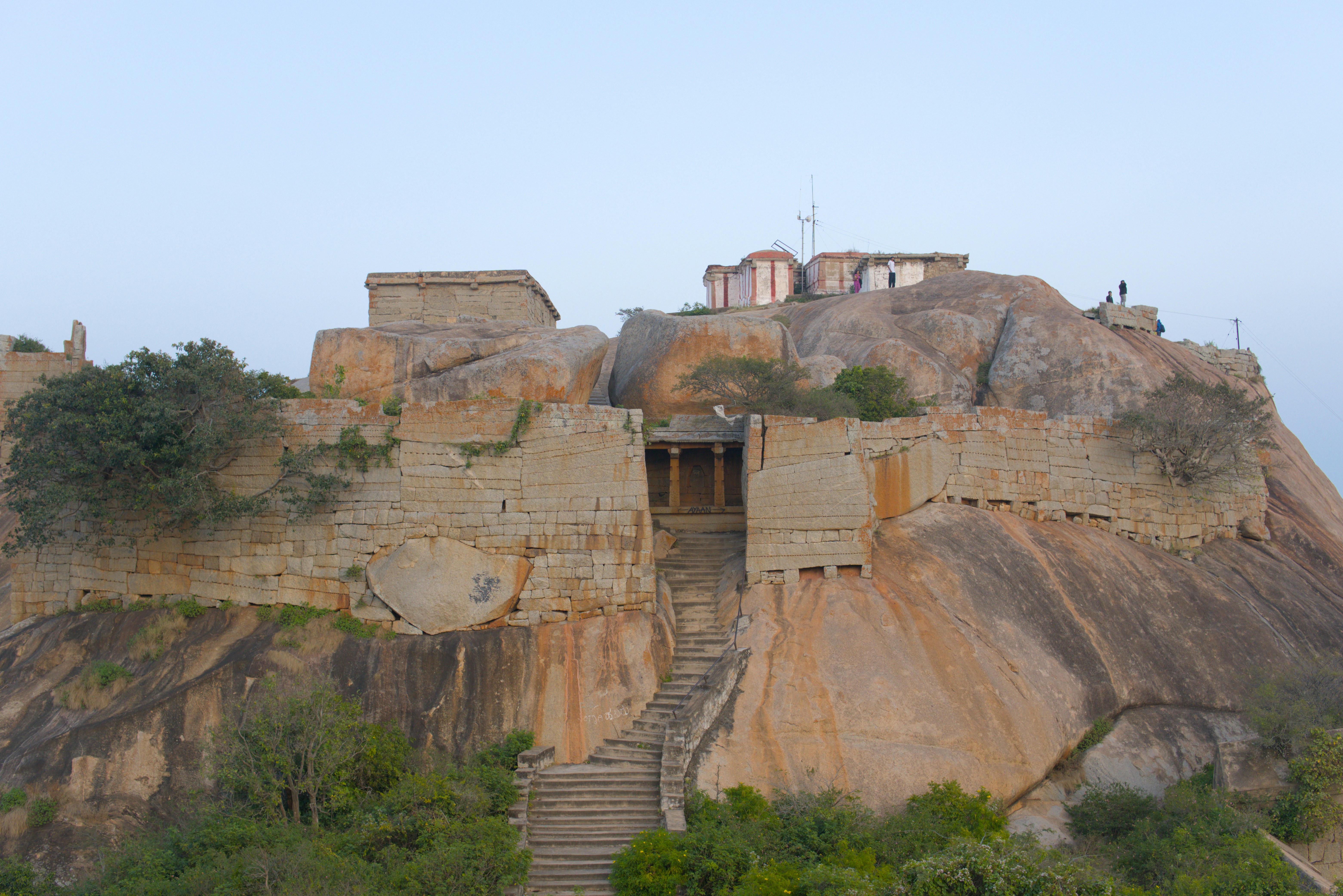 Harsh Khandelwal (@poopyshark) | Unsplash 사진 커뮤니티