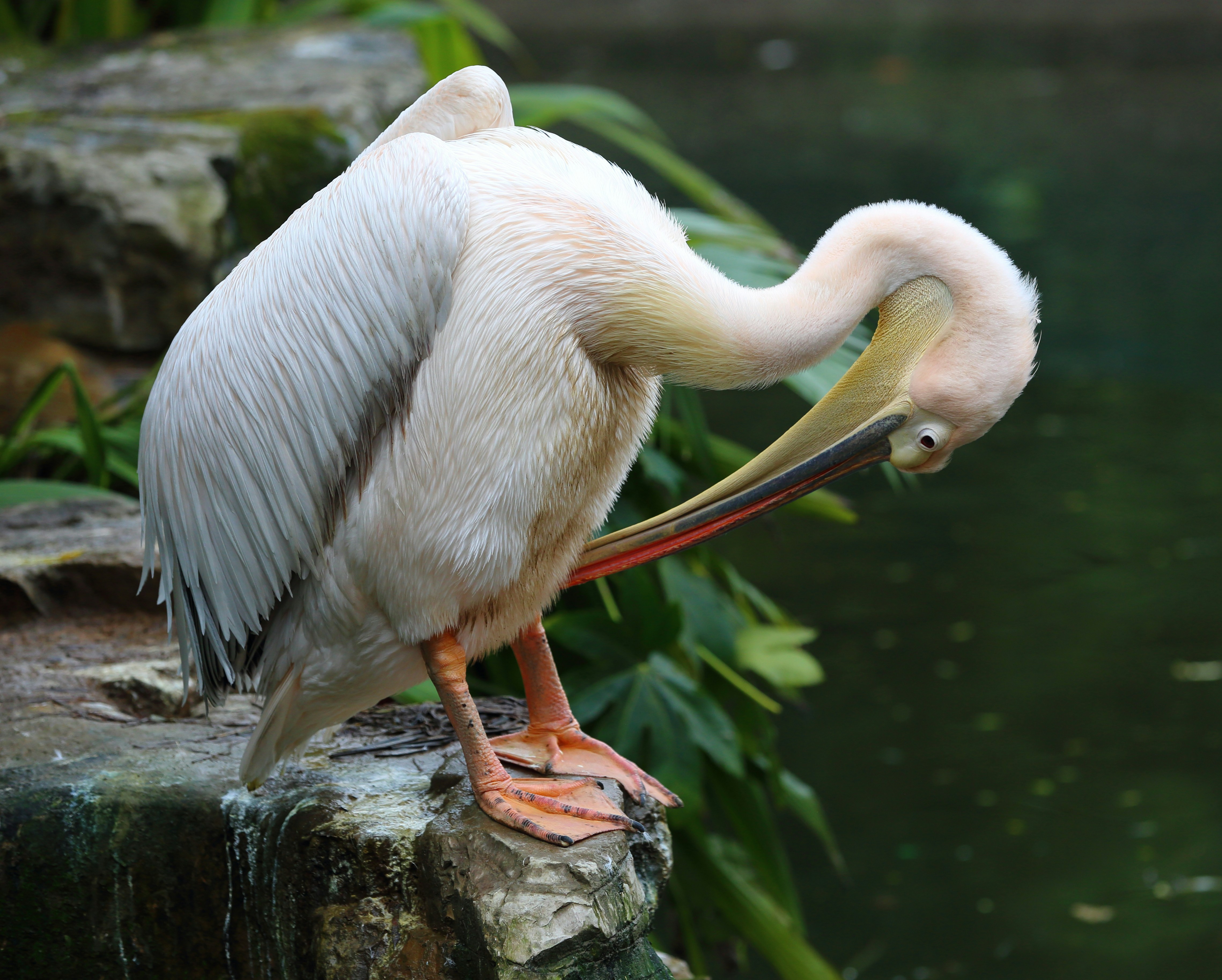 Photo by j4son_bourn3