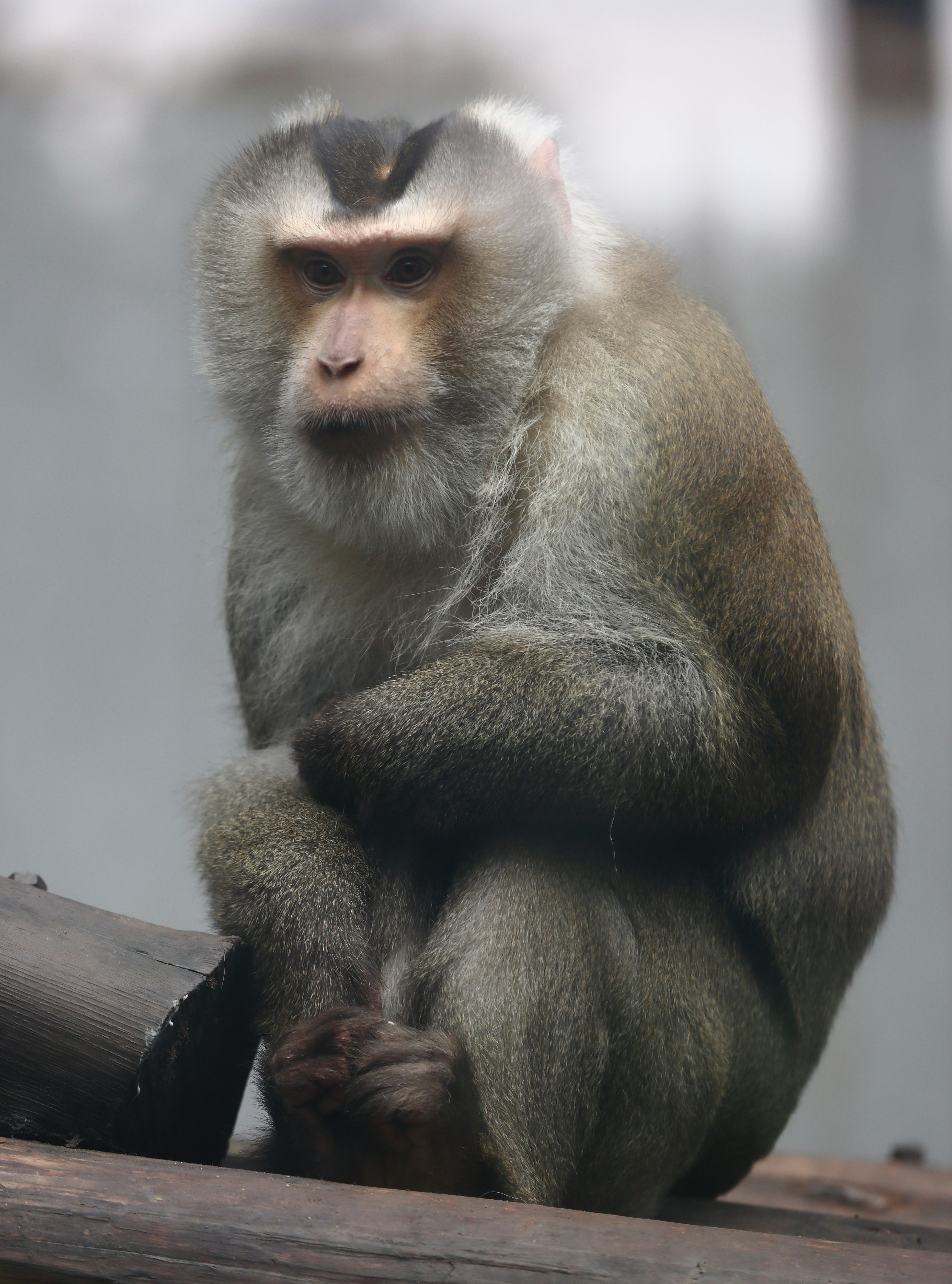 Photo by j4son_bourn3