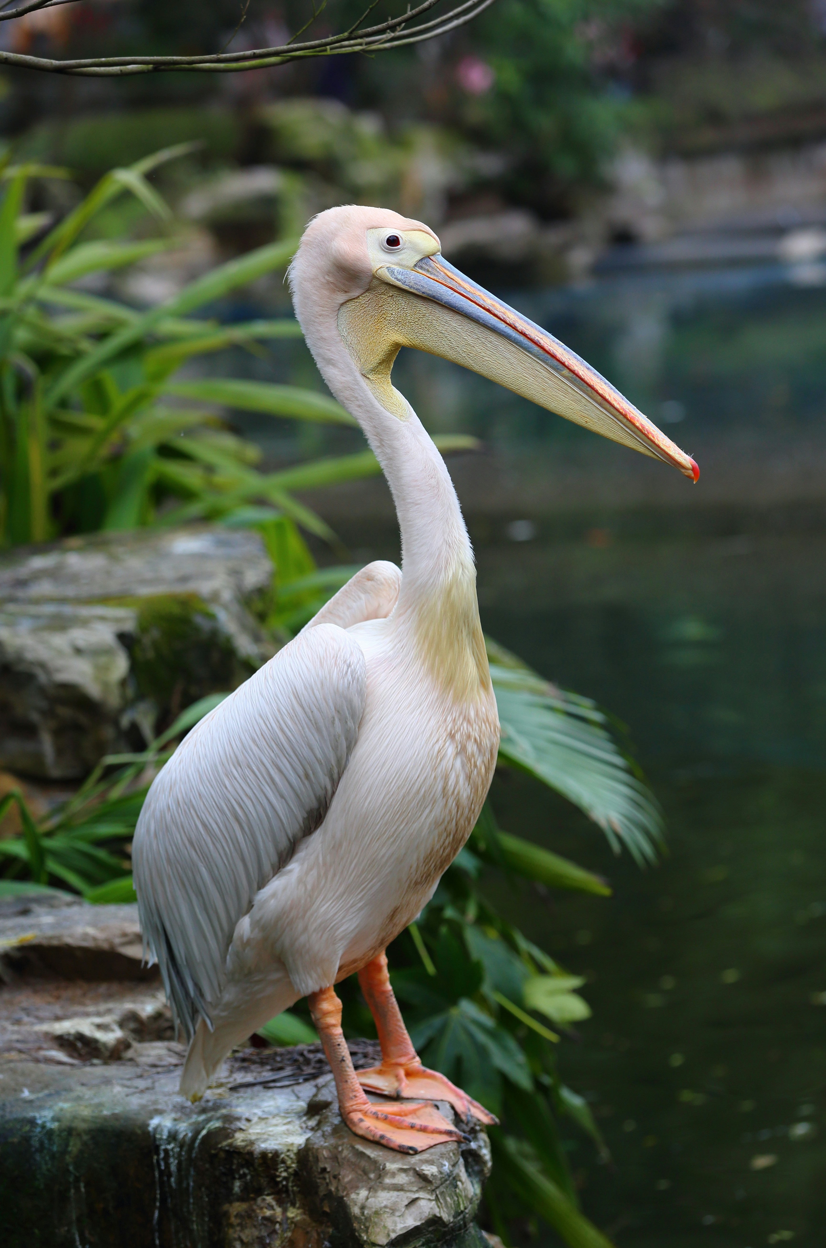 Photo by j4son_bourn3