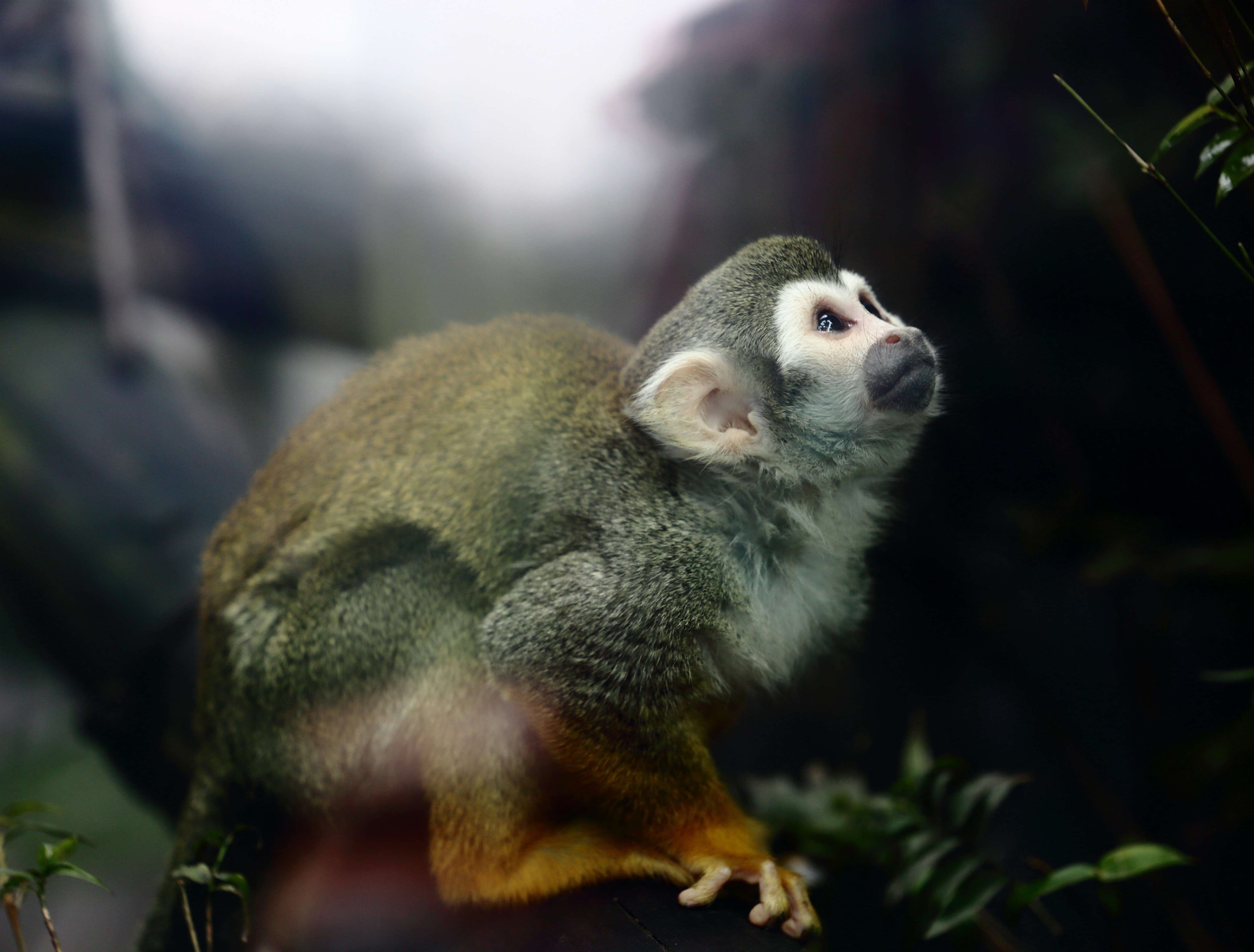 Photo by j4son_bourn3