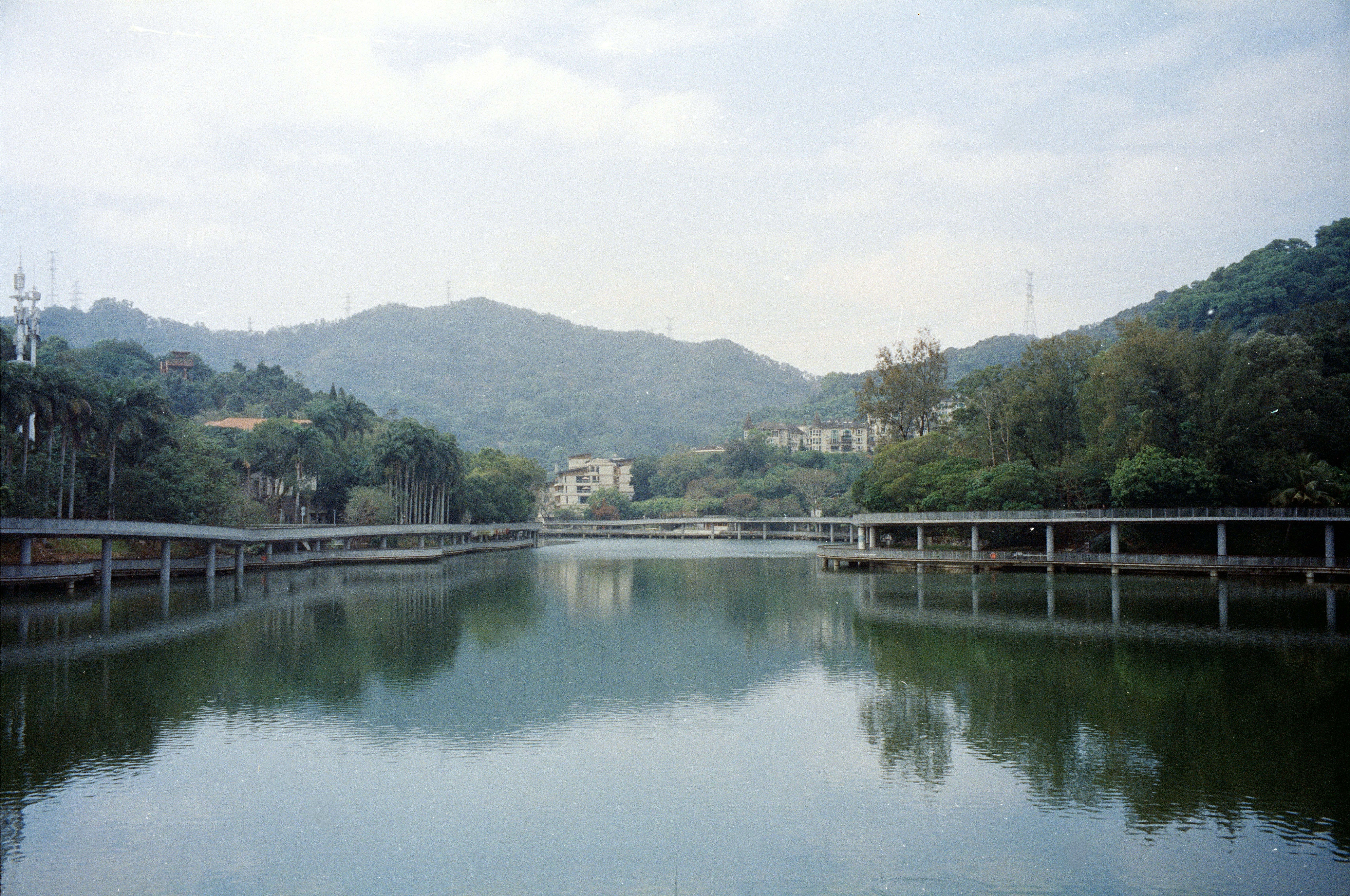 Photo by greedwolf97