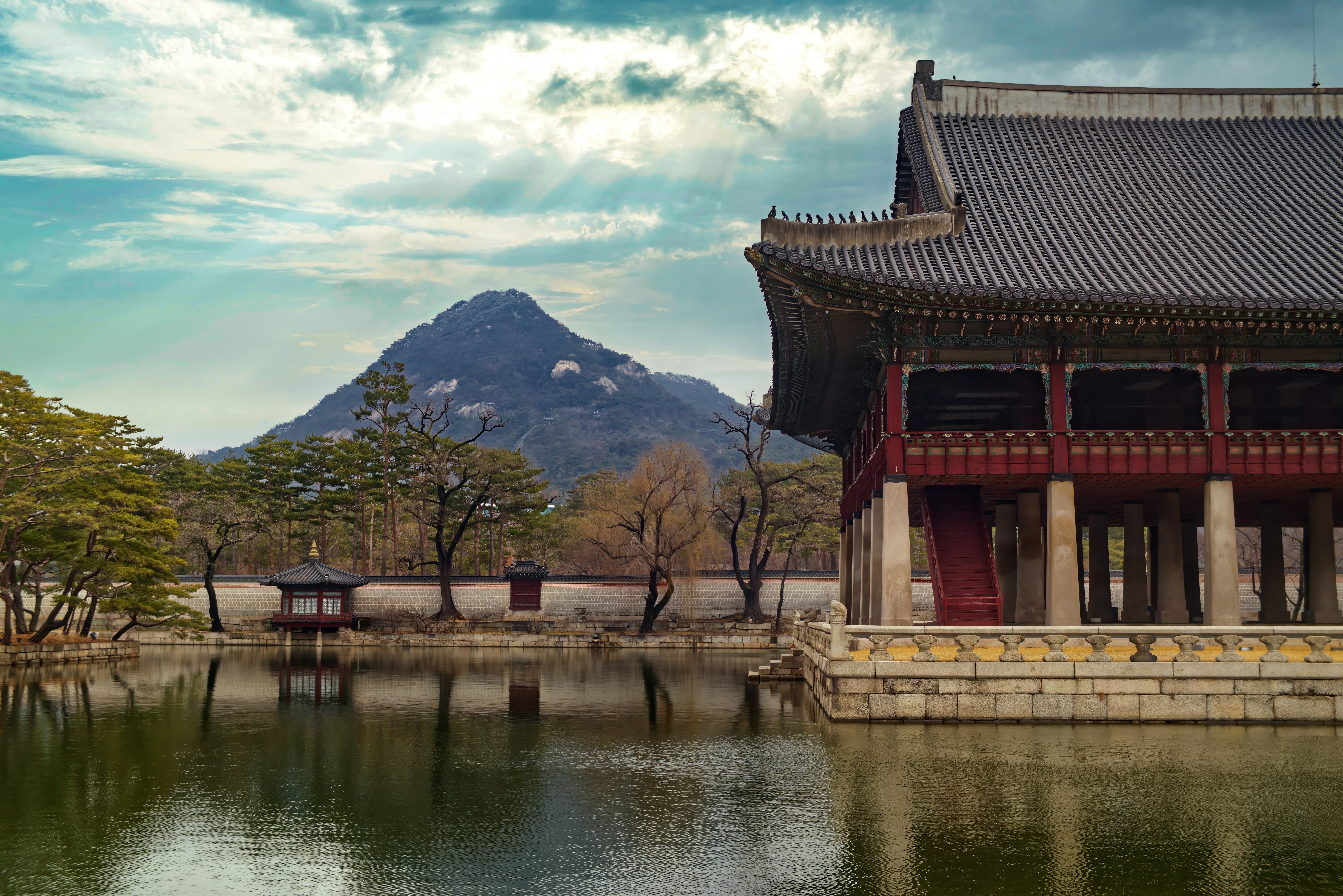 Photo by bullterriere