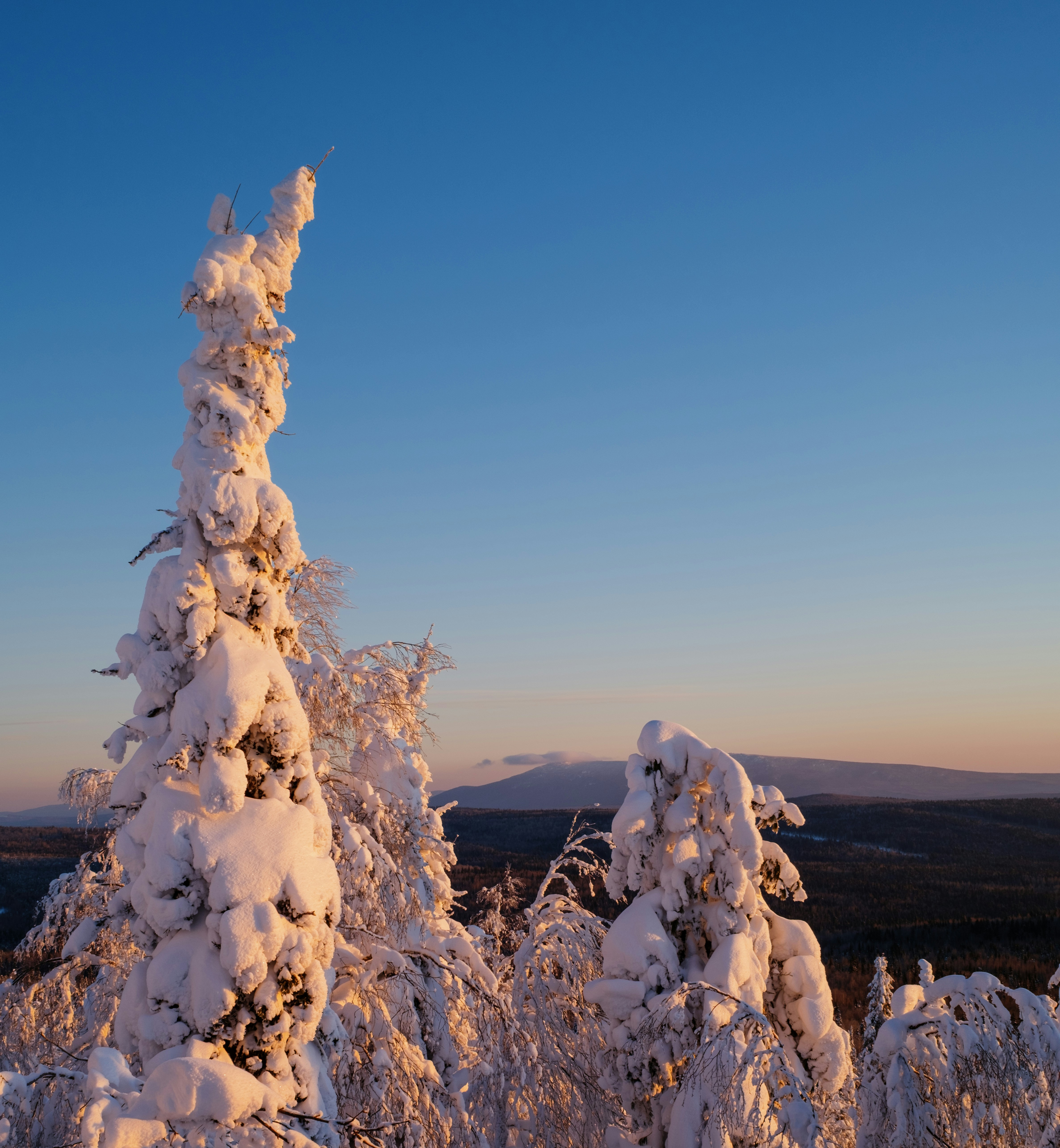 Photo by evil_bumblebee