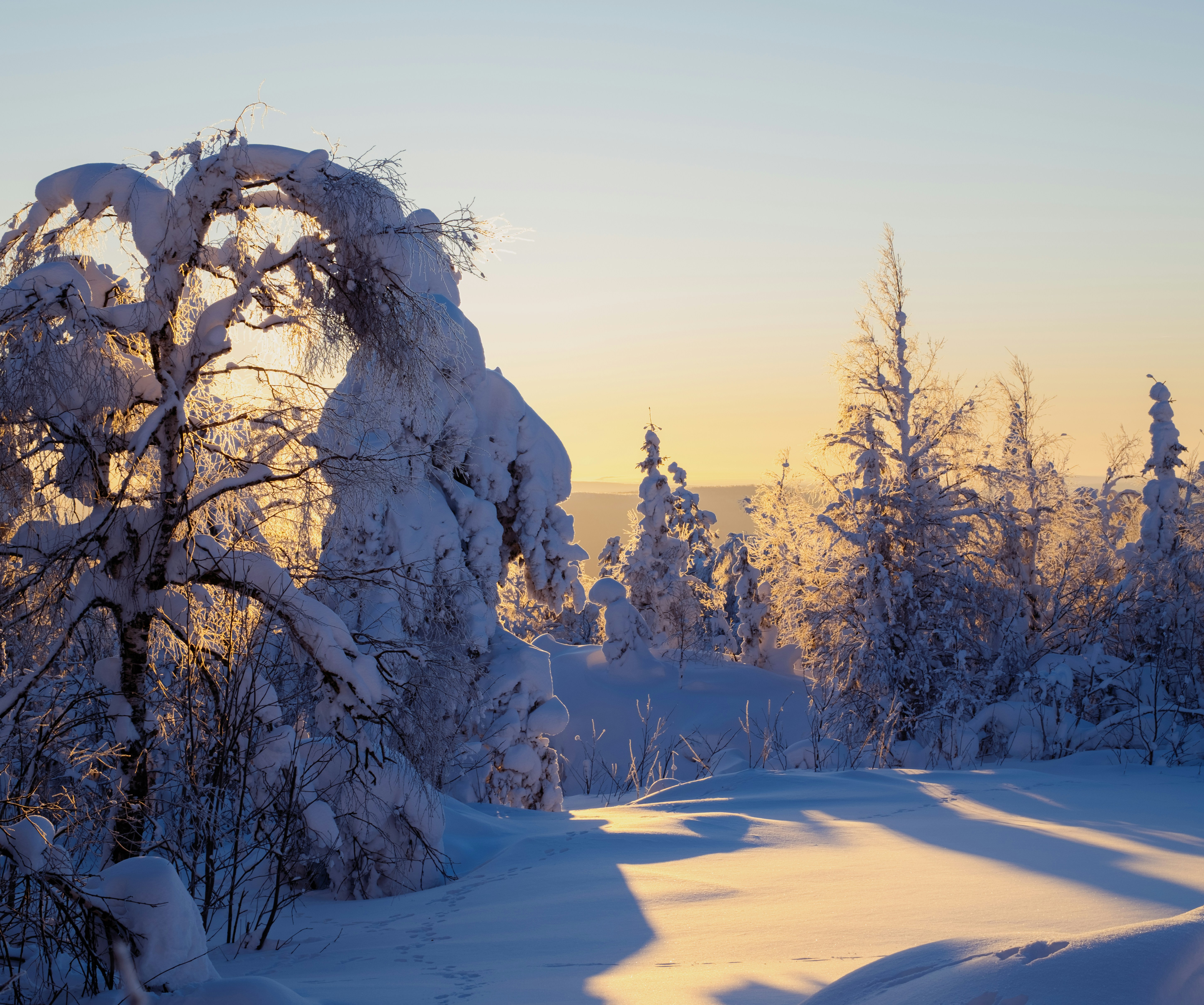 Photo by evil_bumblebee