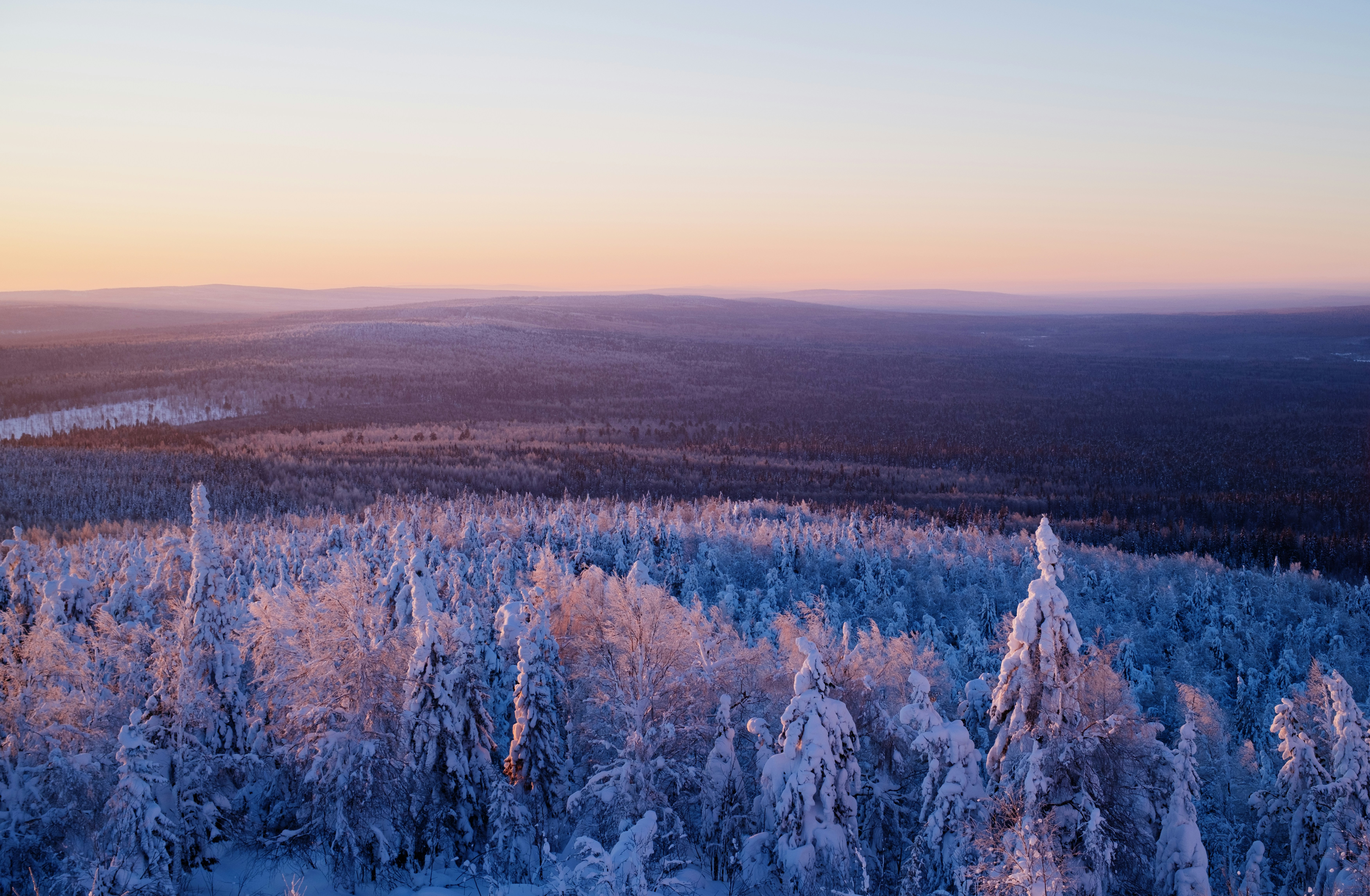 Photo by evil_bumblebee