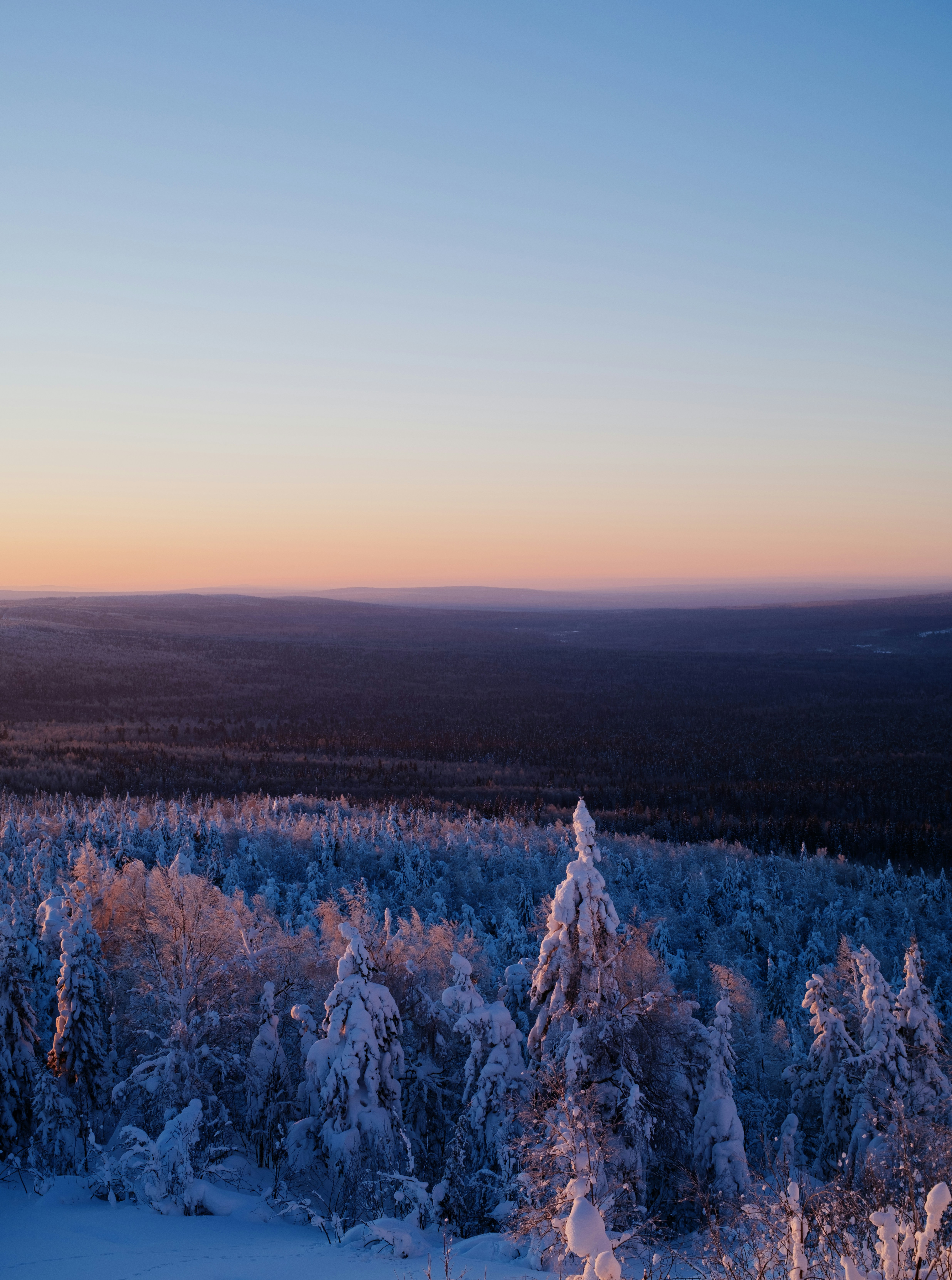 Photo by evil_bumblebee