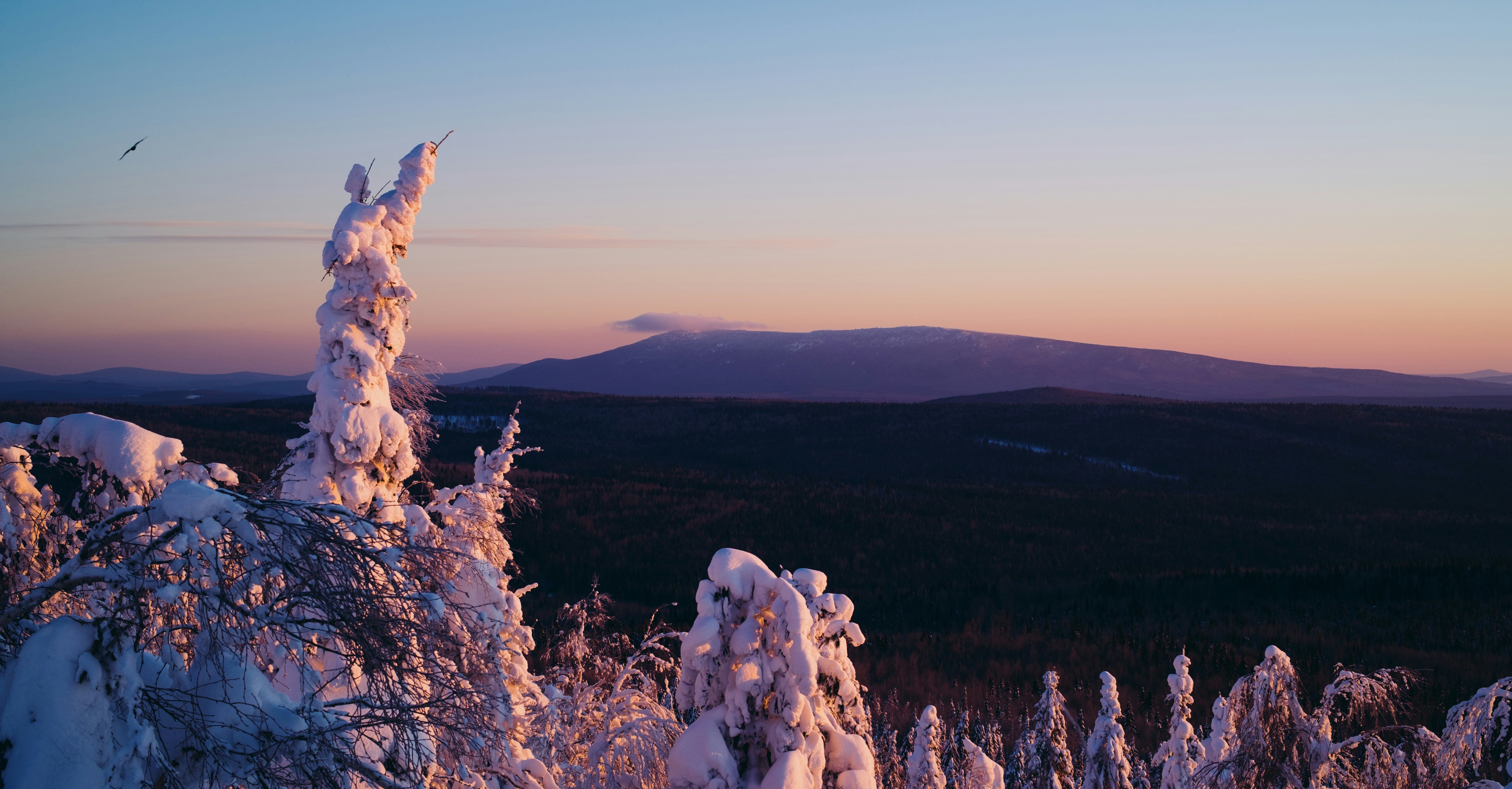 Photo by evil_bumblebee