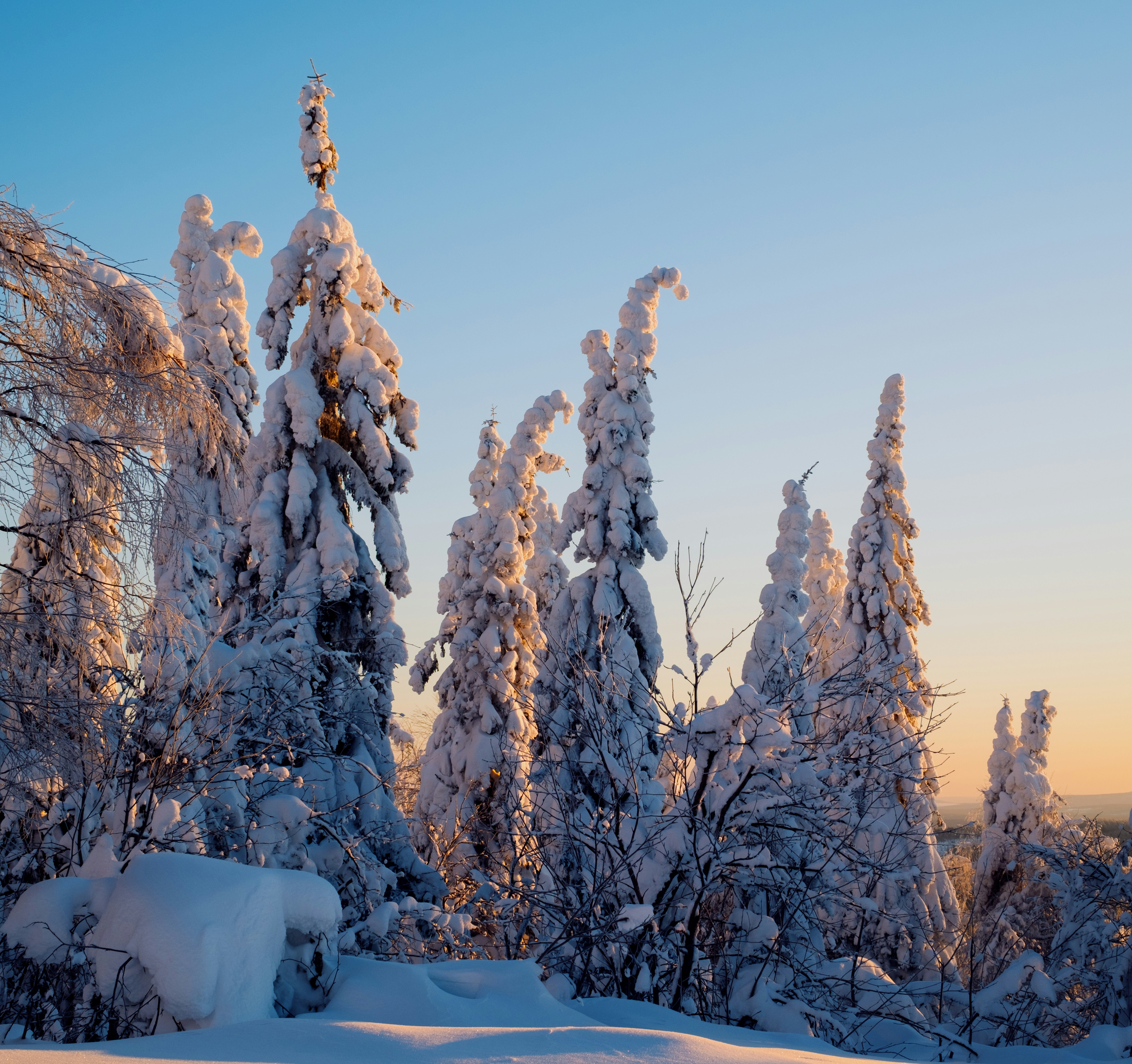 Photo by evil_bumblebee