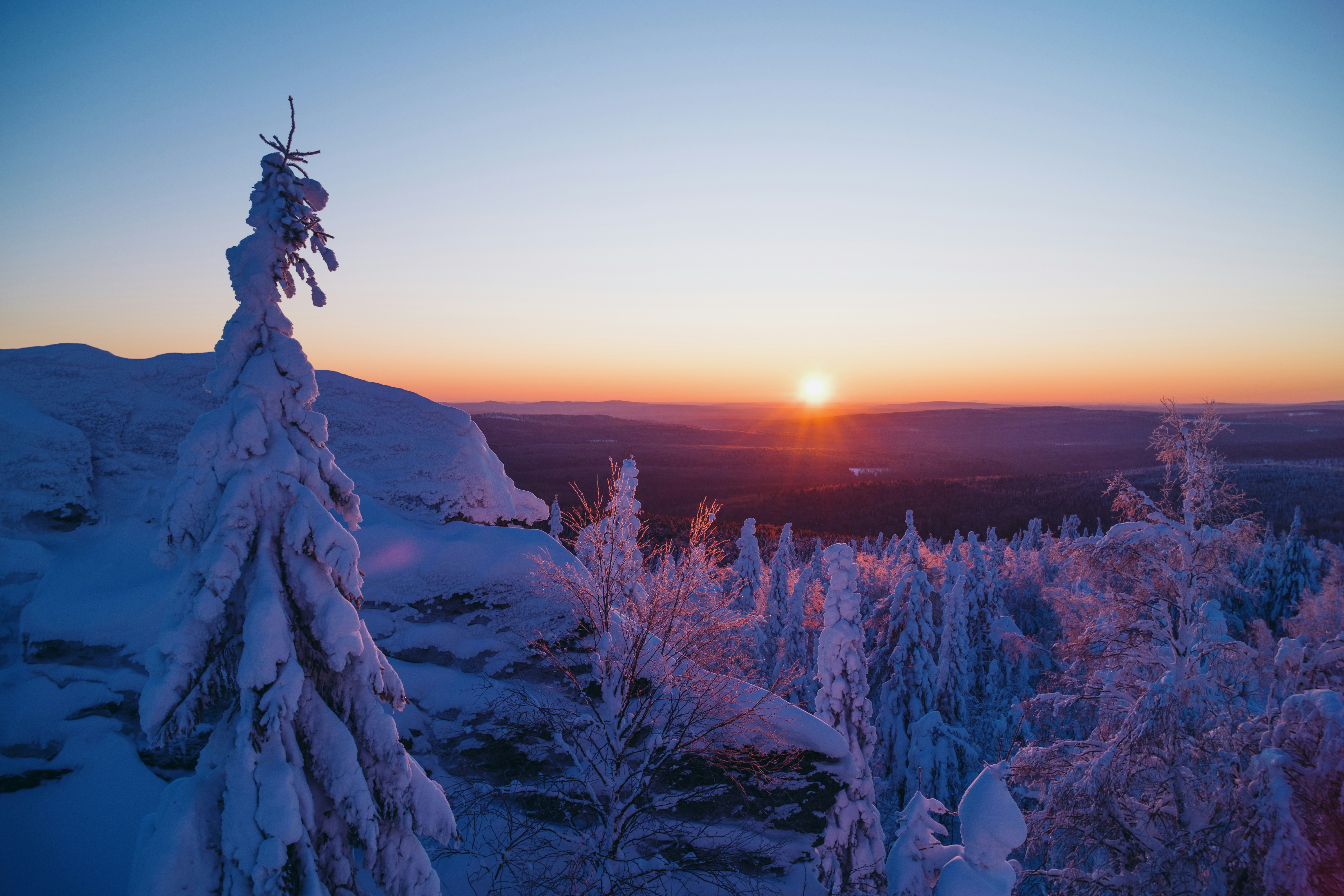 Photo by evil_bumblebee