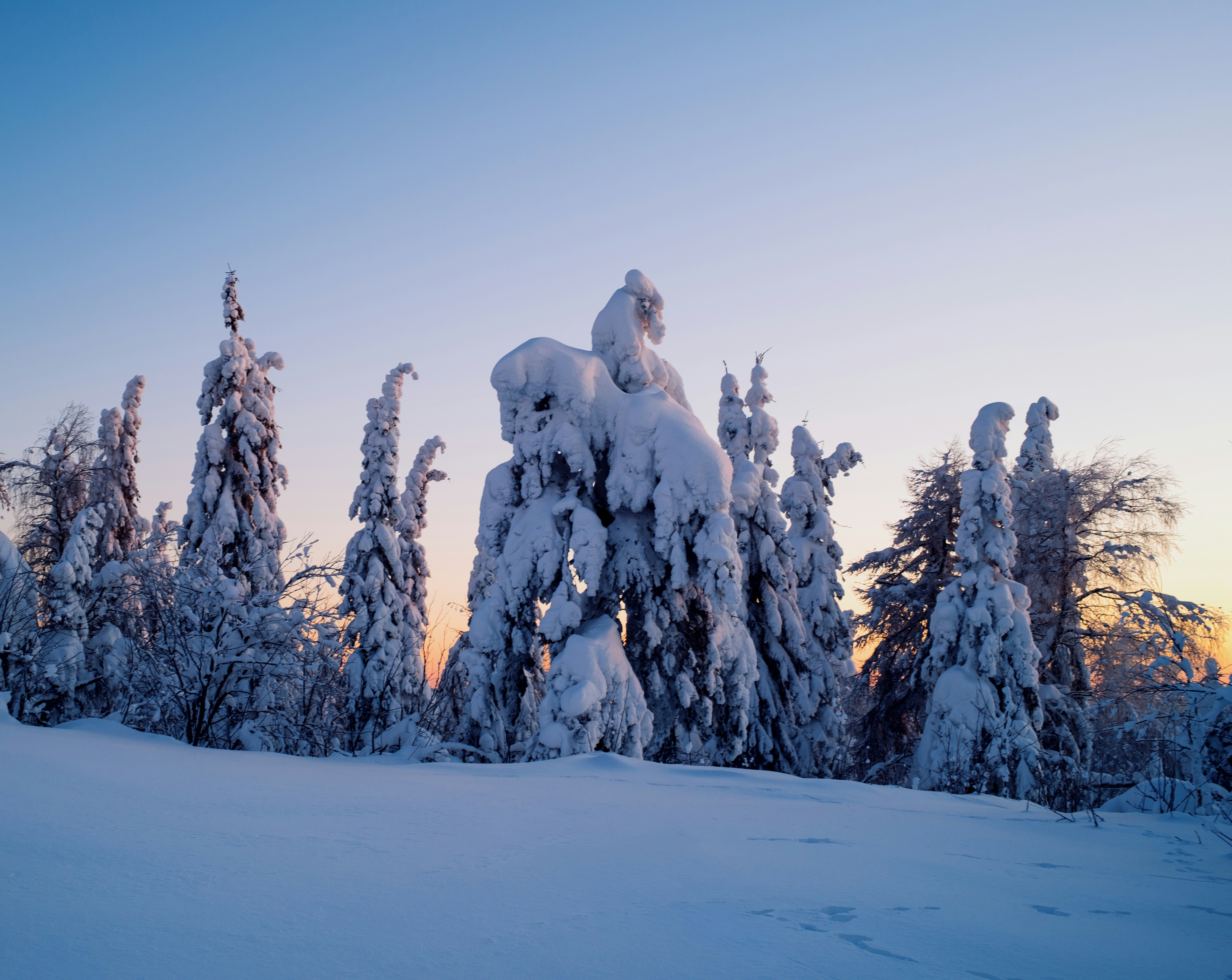 Photo by evil_bumblebee